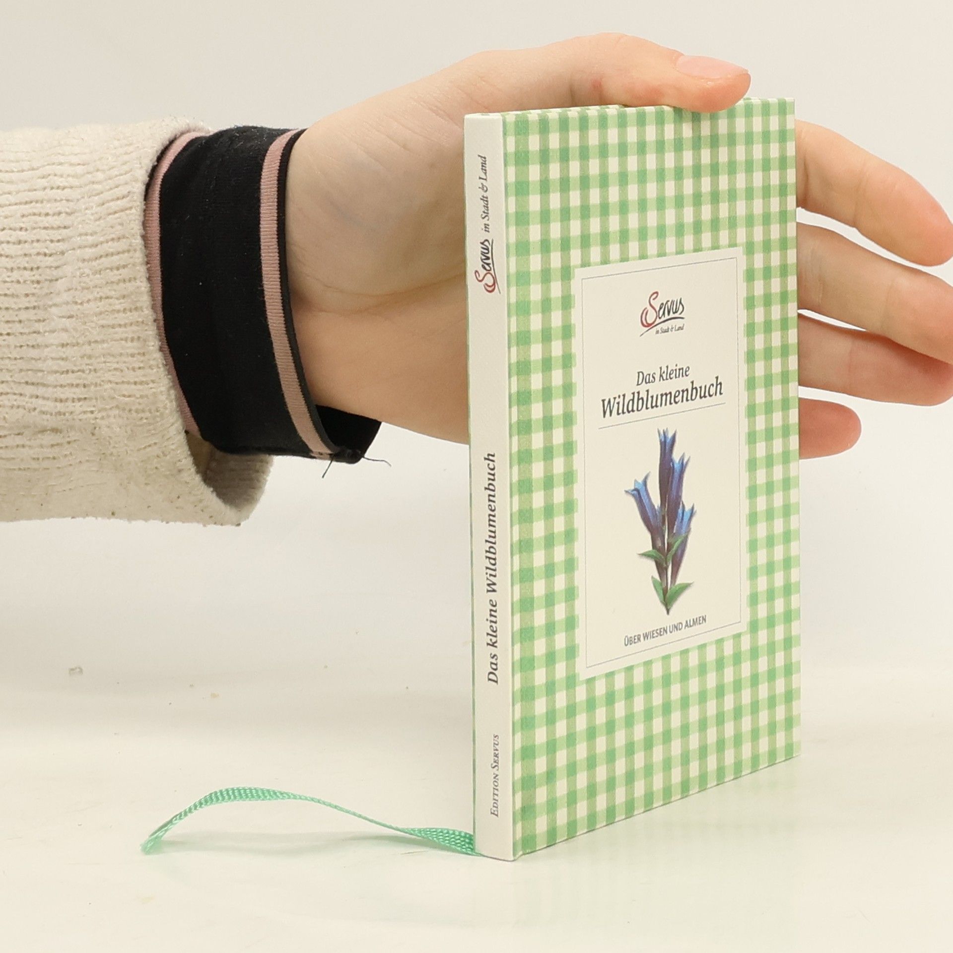 Miriam Wiegele Das kleine Wildblumenbuch