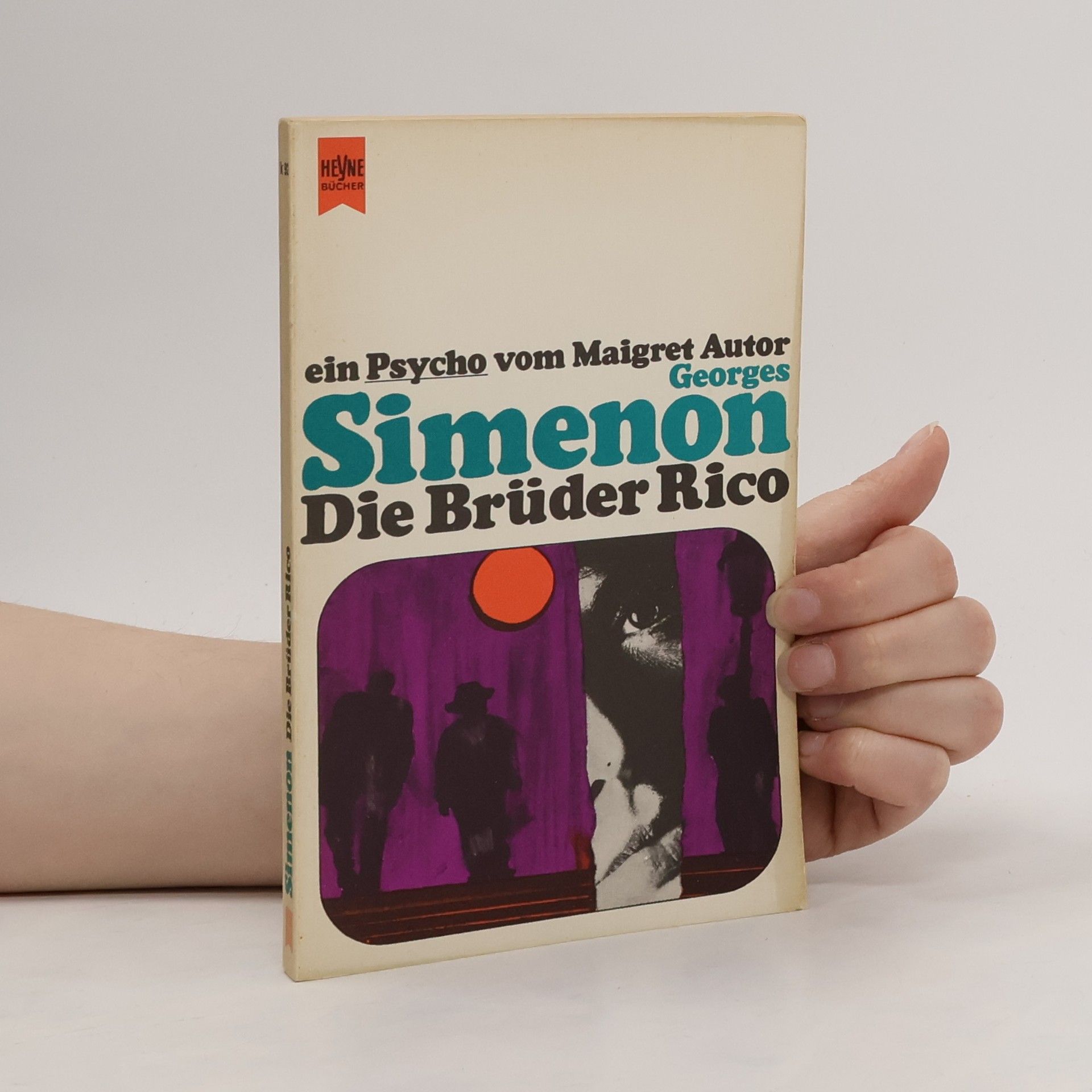 Georges Simenon Die Brüder Rico