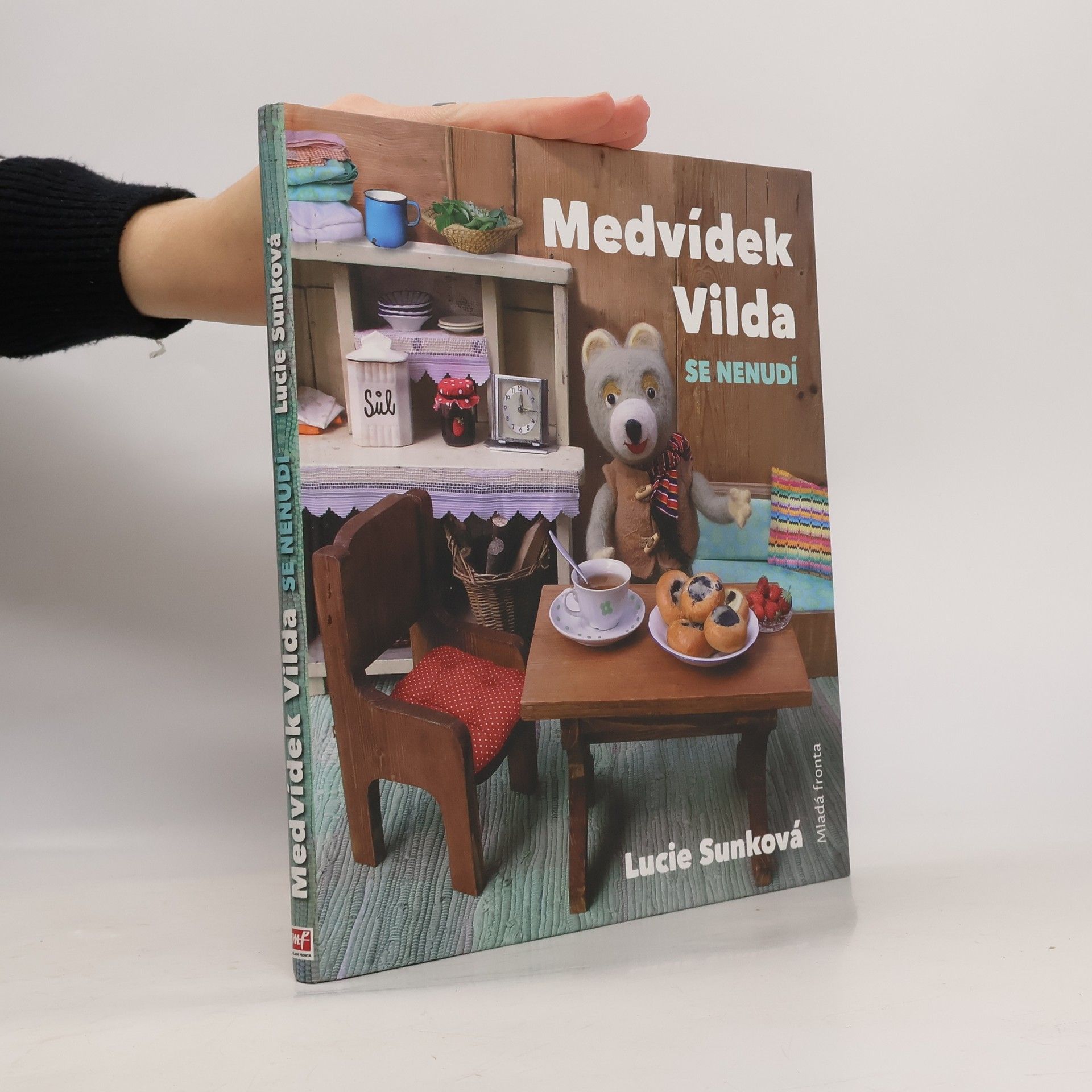 Lucie Sunková Medvídek Vilda se nenudí