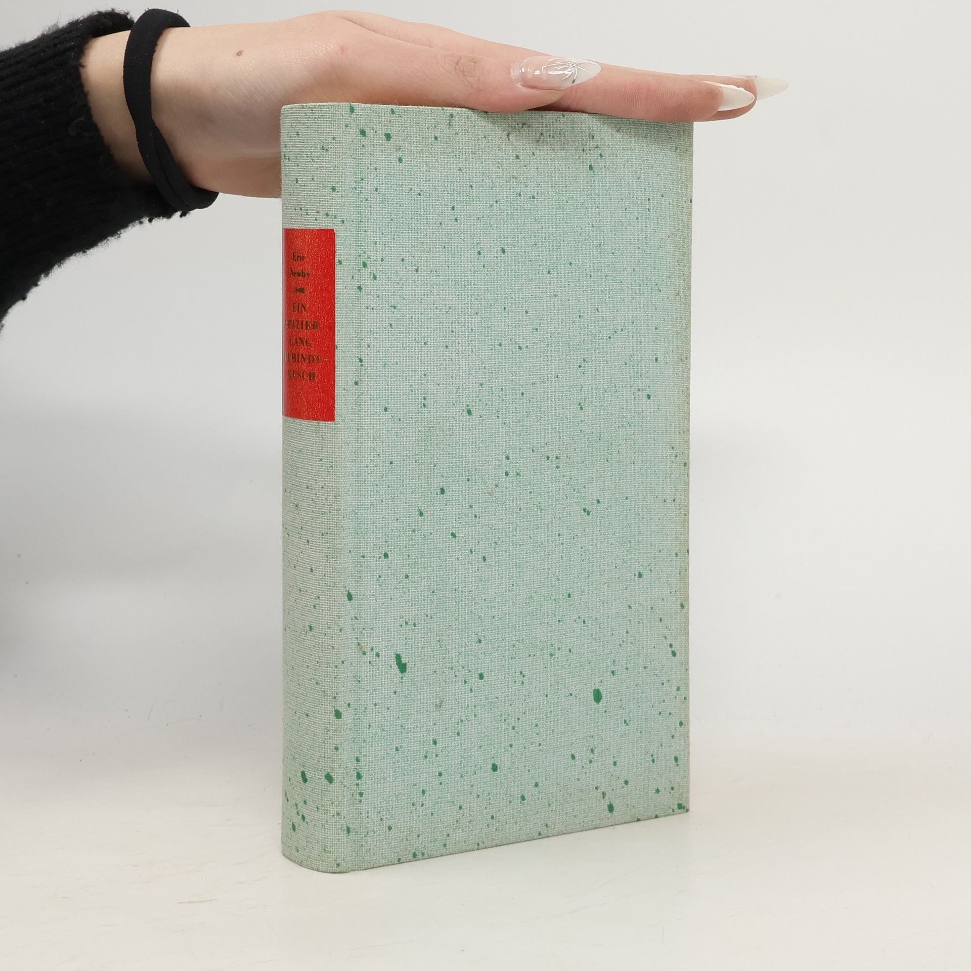 Newby Eric Die Andere Bibliothek: Ein Spaziergang im Hindukusch