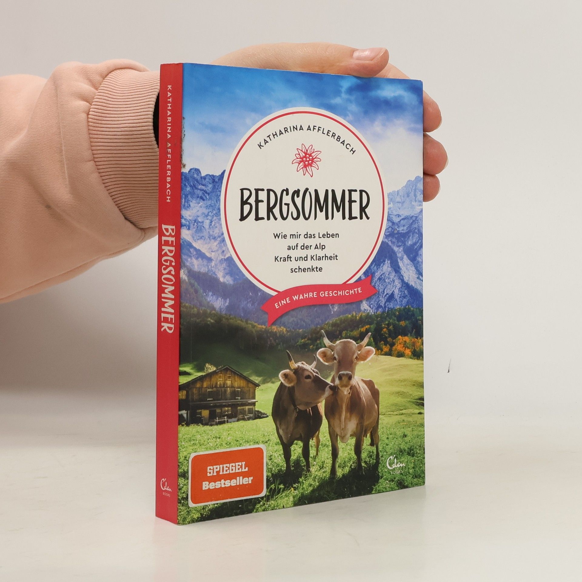 Katharina Afflerbach Bergsommer