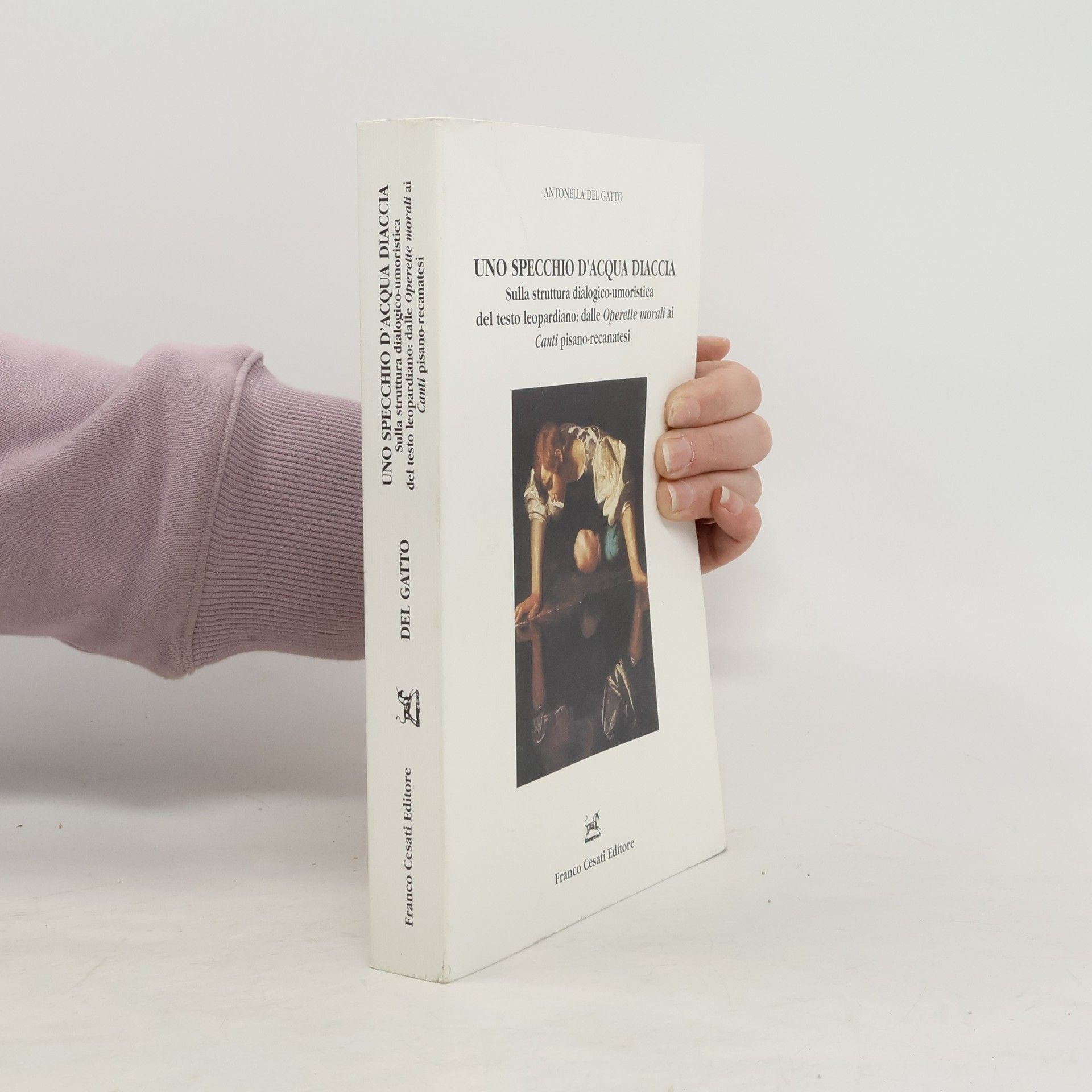 Antonella Del Gatto Uno Specchio D'Acqua Diaccia