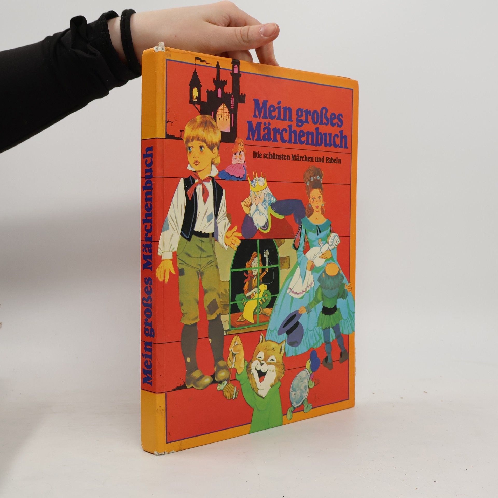 AA.VV. Mein großes Märchenbuch