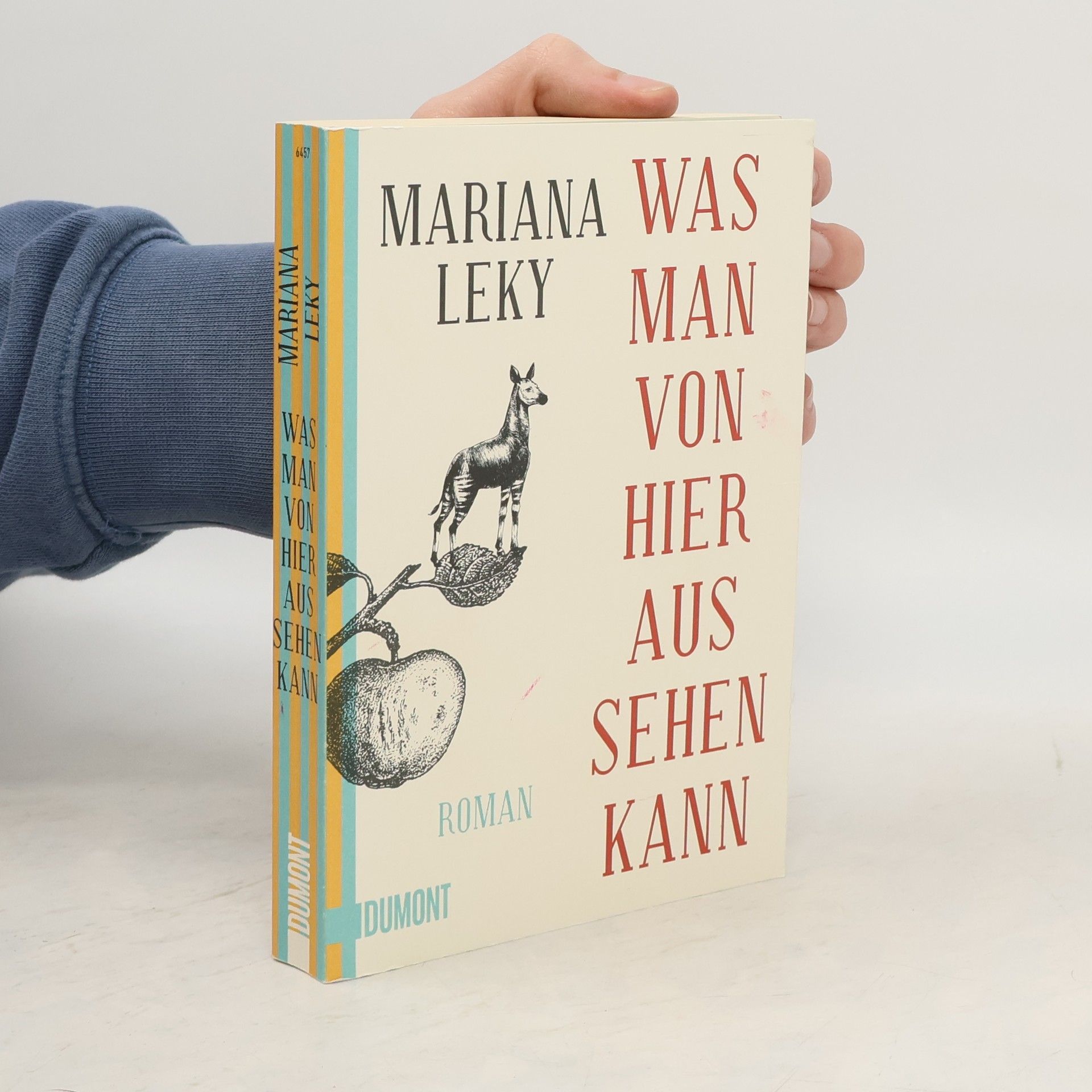 Mariana Leky Was man von hier aus sehen kann