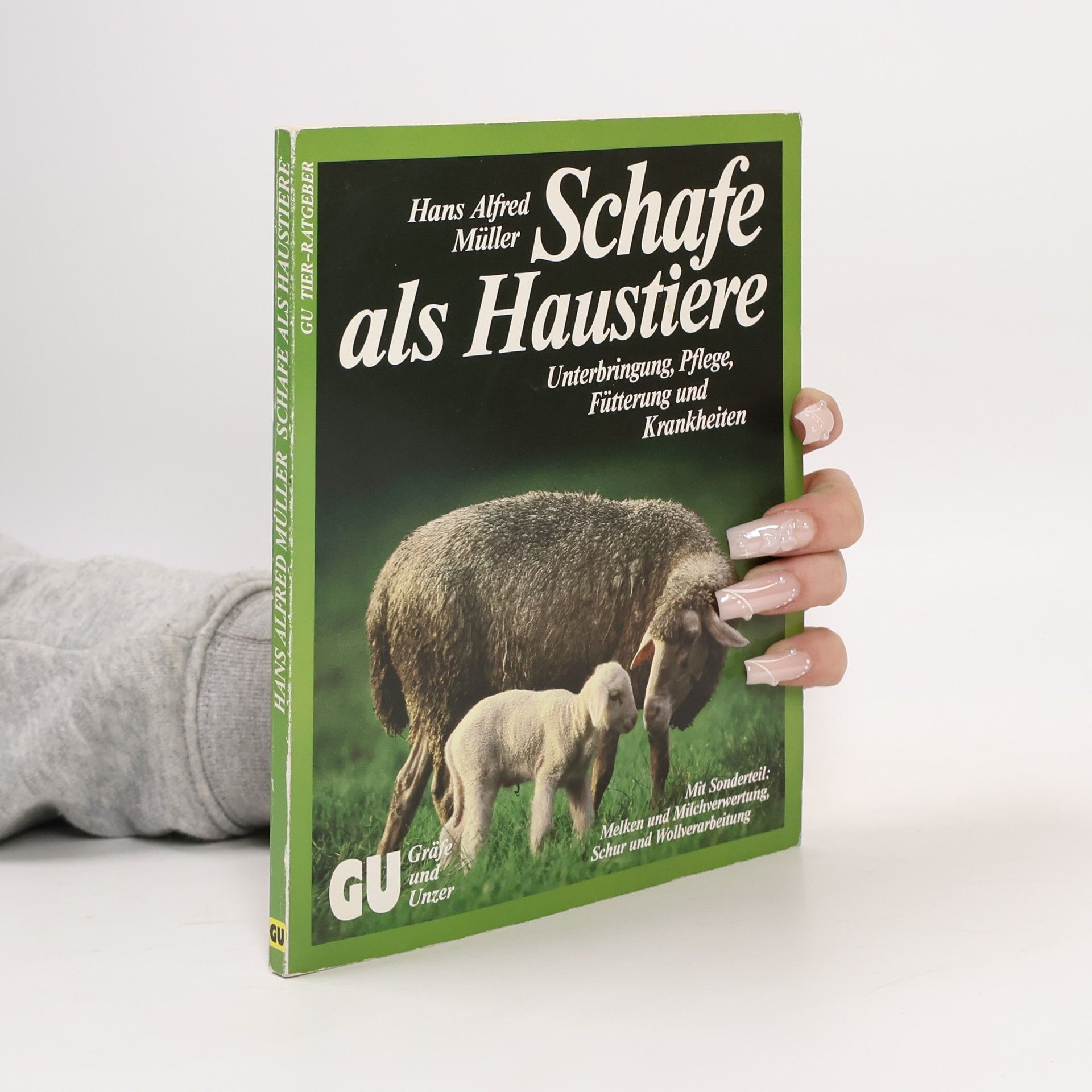 Schafe als Haustiere