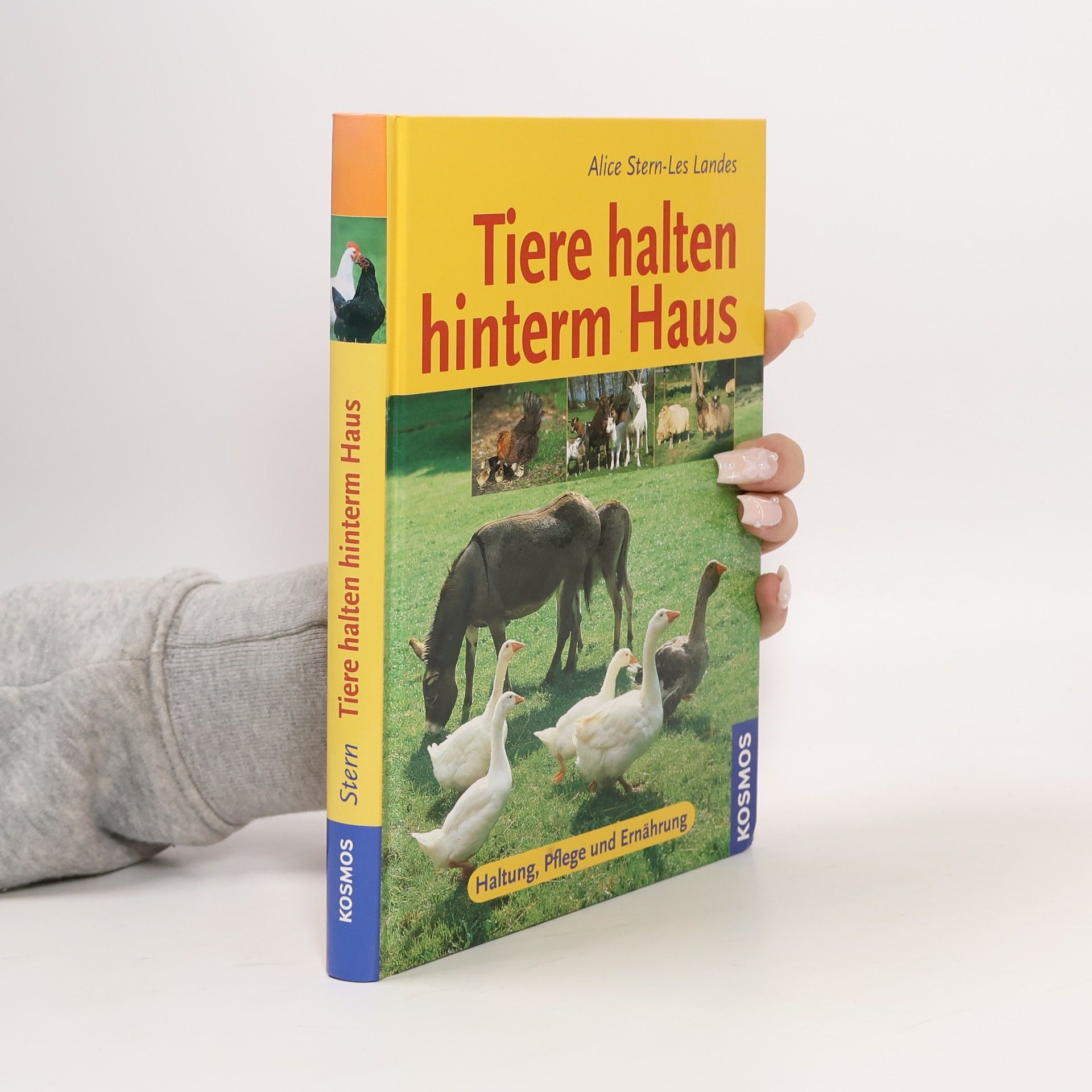 Alice Stern-Les Landes Tiere halten hinterm Haus