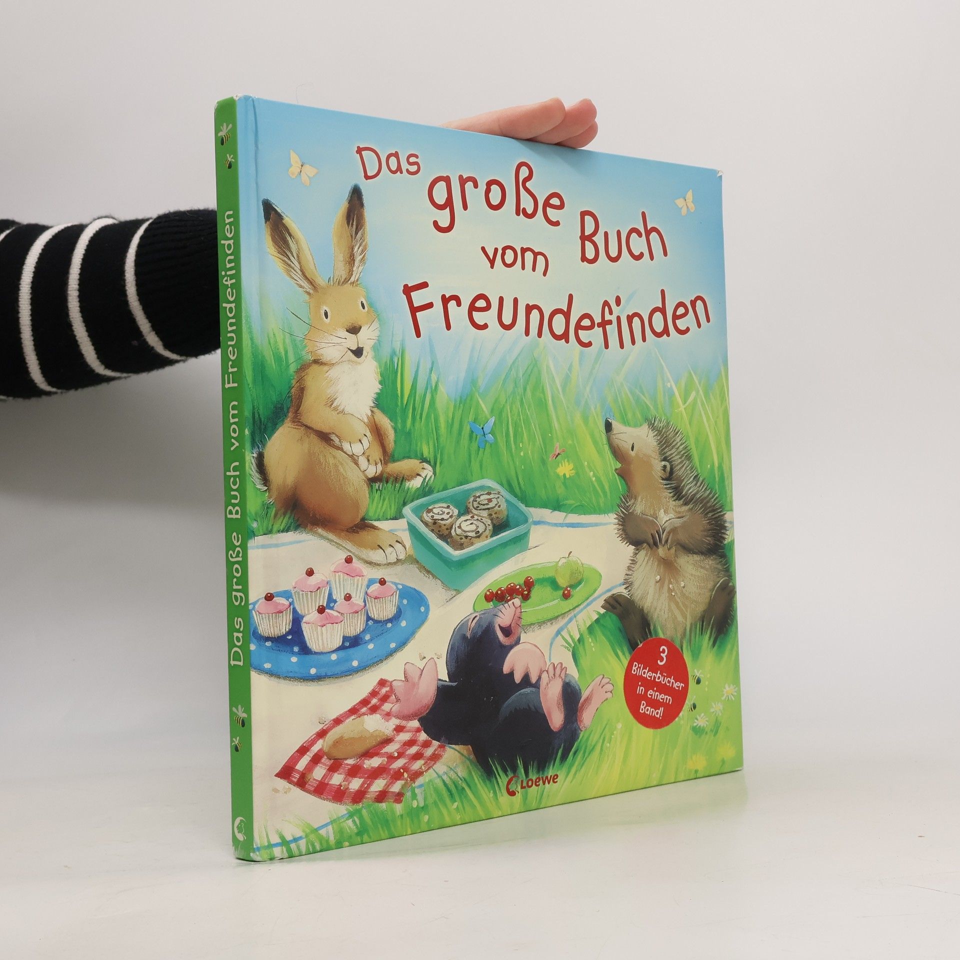 Jane Chapman Das große Buch vom Freundefinden