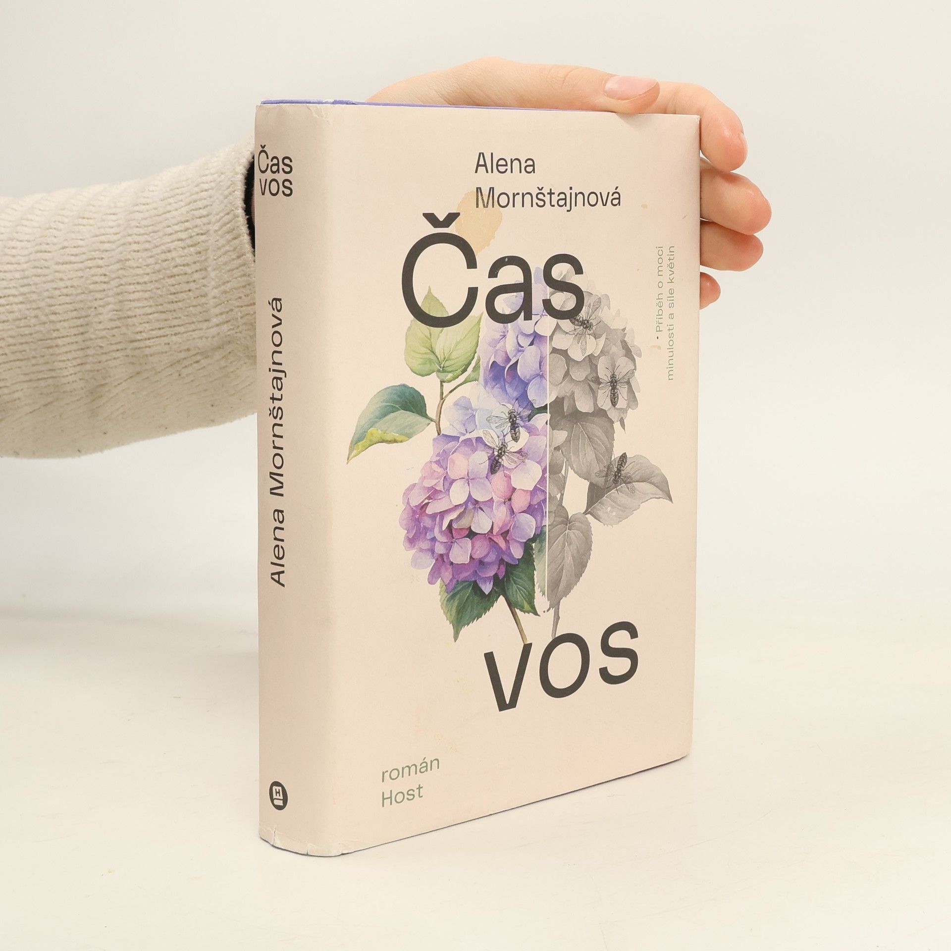 Alena Mornštajnová Čas vos