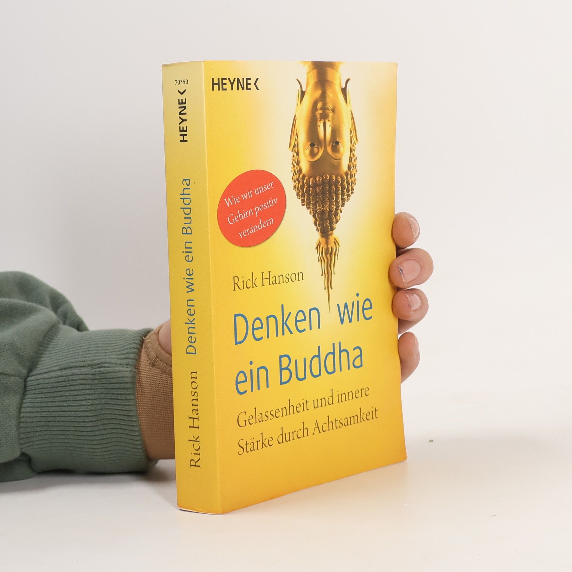 Rick Hanson Denken wie ein Buddha