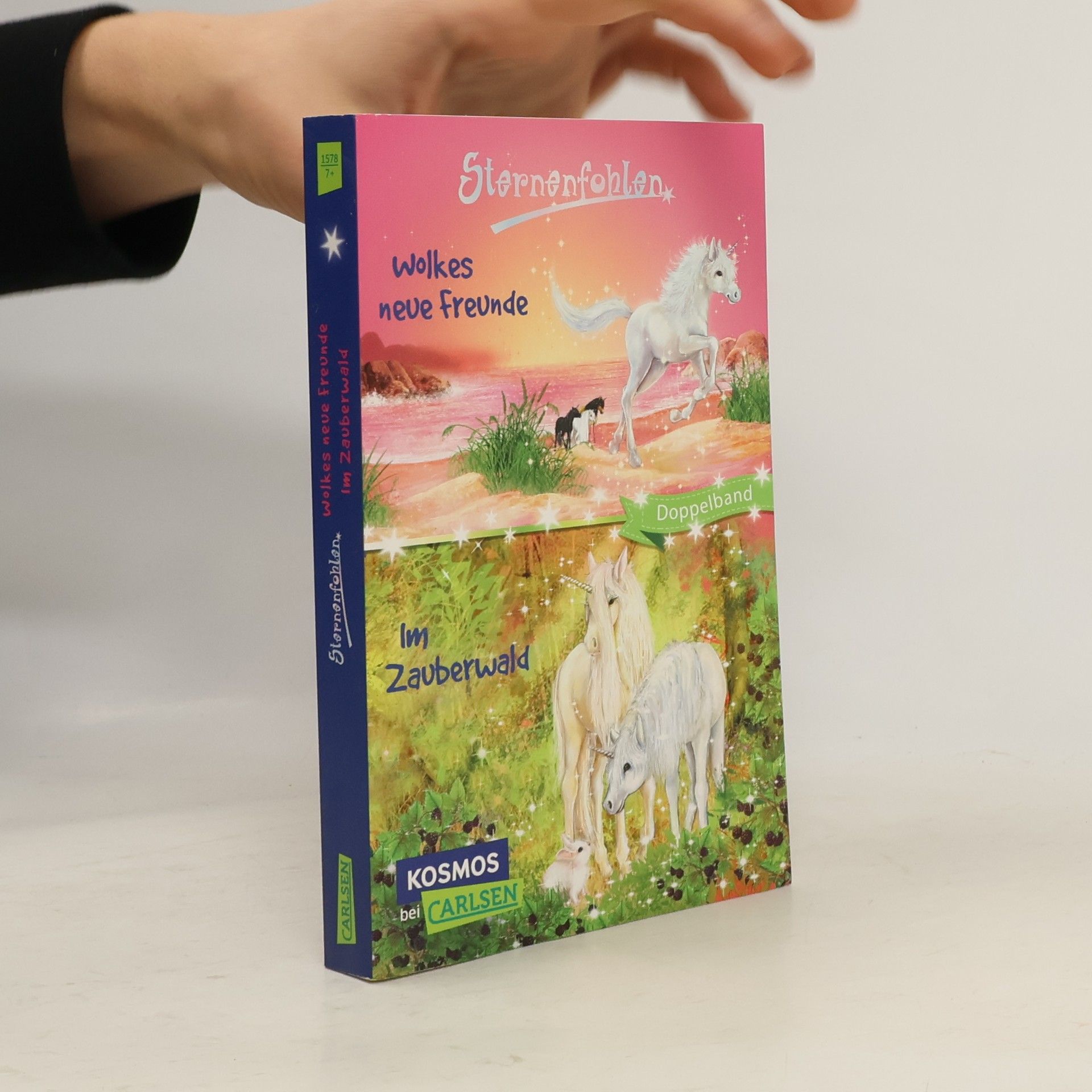 Linda Chapman Sternenfohlen - Wolkes neue Freunde