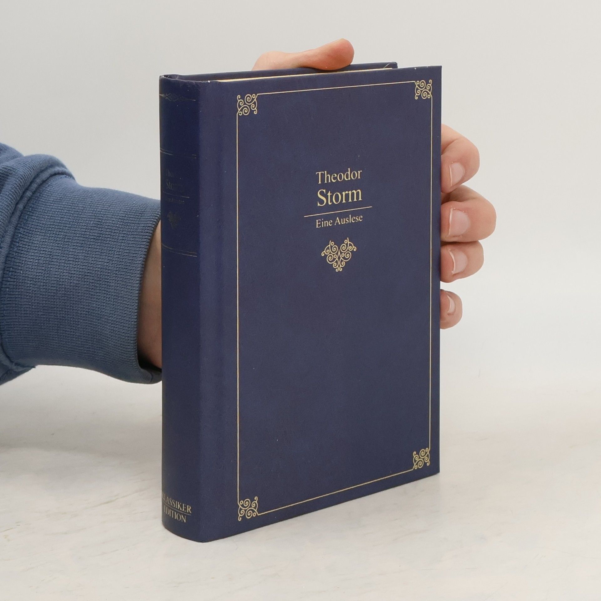 Theodor Storm Eine Auslese