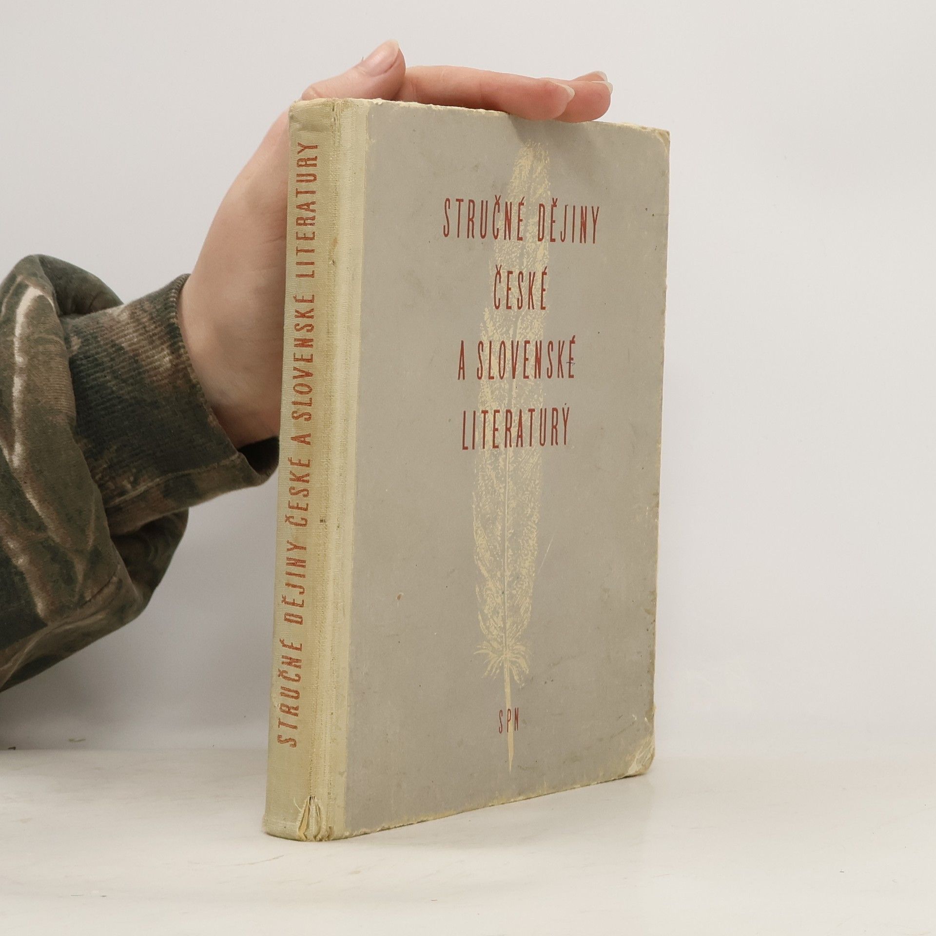 Vítězslav Tichý Stručné dějiny české a slovenské literatury