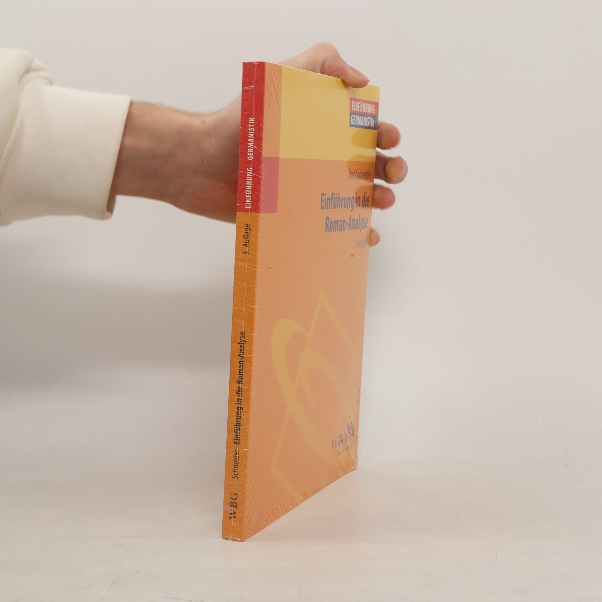 Jost Schneider Einführung in die Roman-Analyse