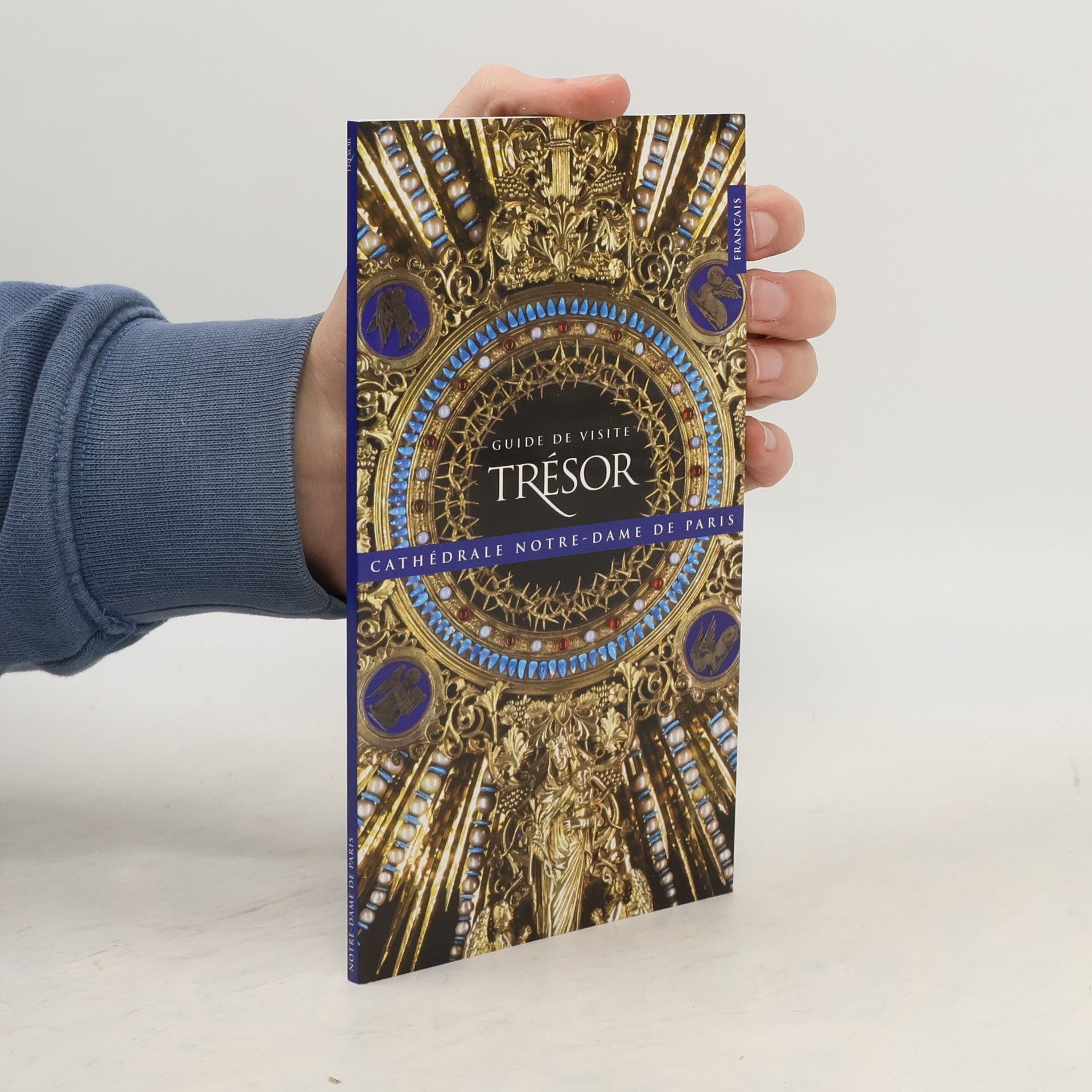 Kolektív autorov Trésor Cathédrale Notre-Dame de Paris. Guide de Visite