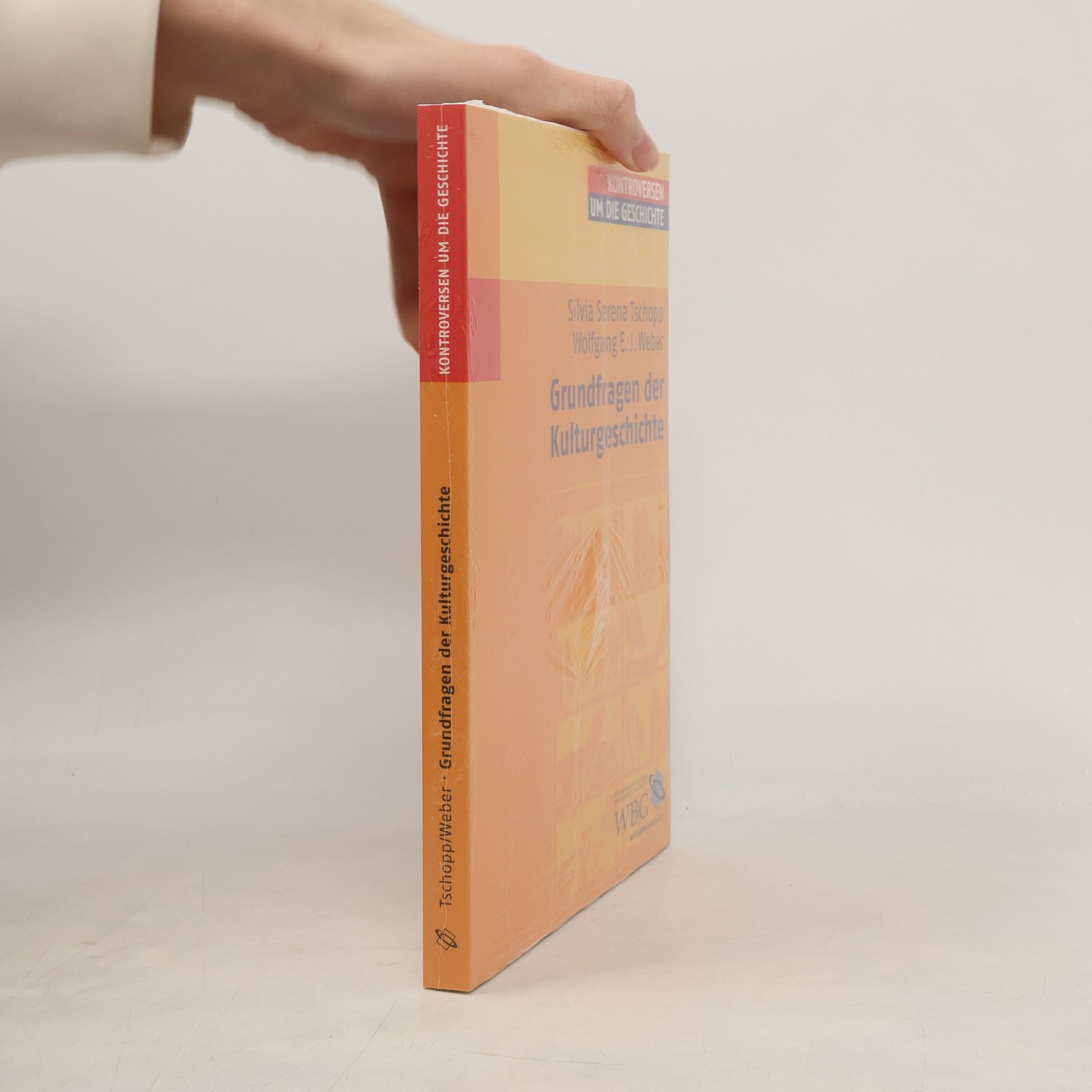 Grundfragen der Kulturgeschichte