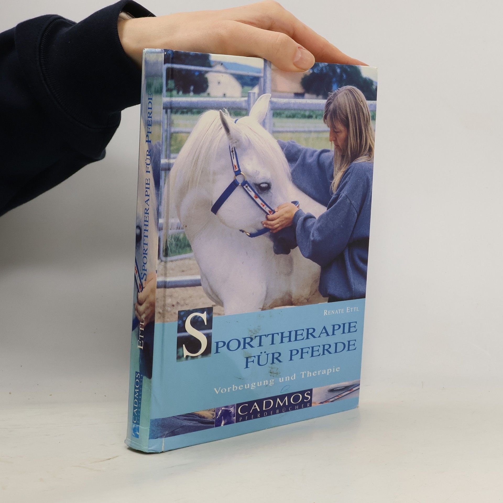 Renate Ettl Sporttherapie für Pferde