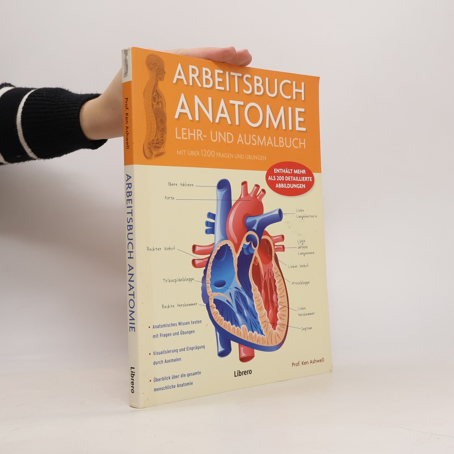 Ken Ashwell Arbeitsbuch Anatomie