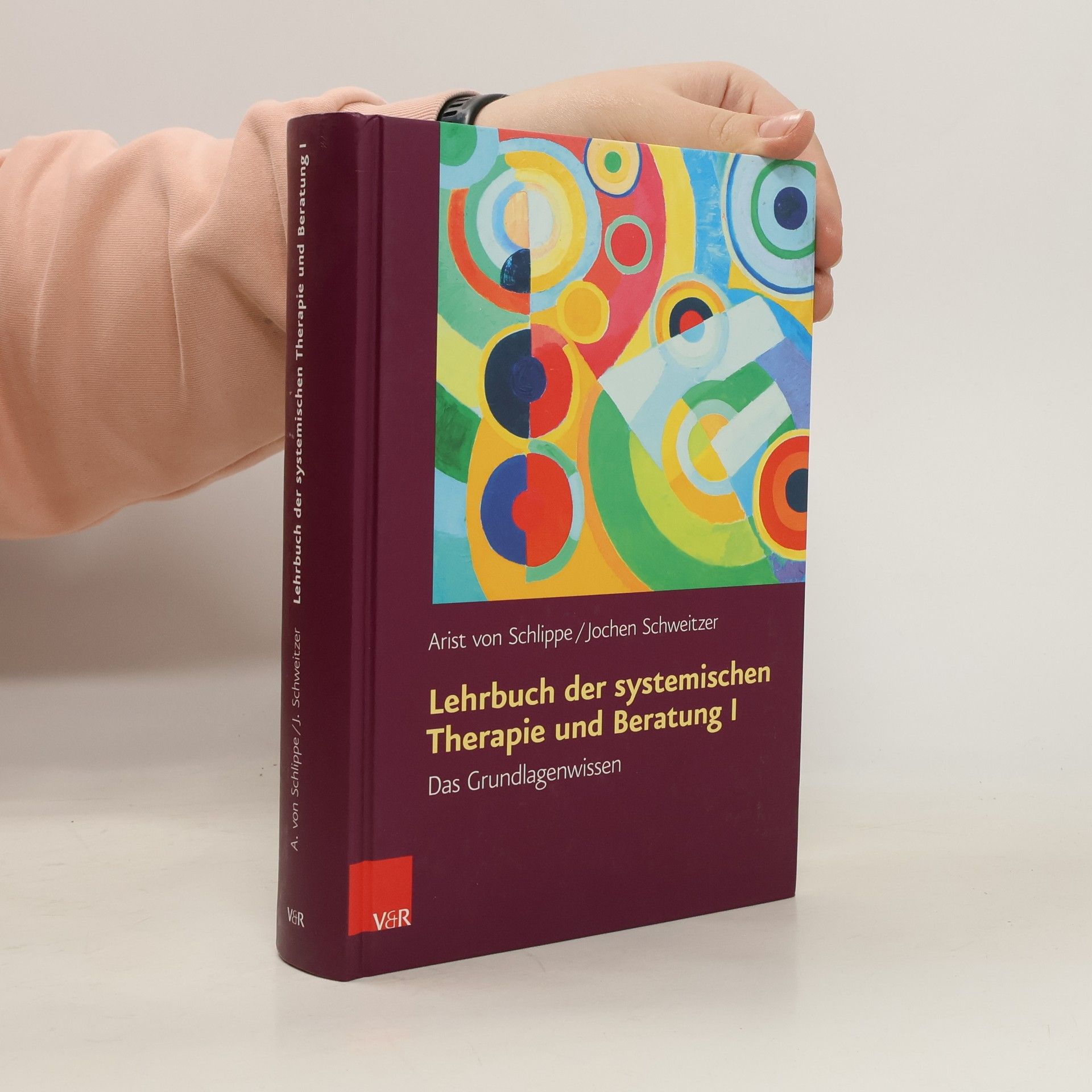 Arist von Schlippe Lehrbuch der systemischen Therapie und Beratung