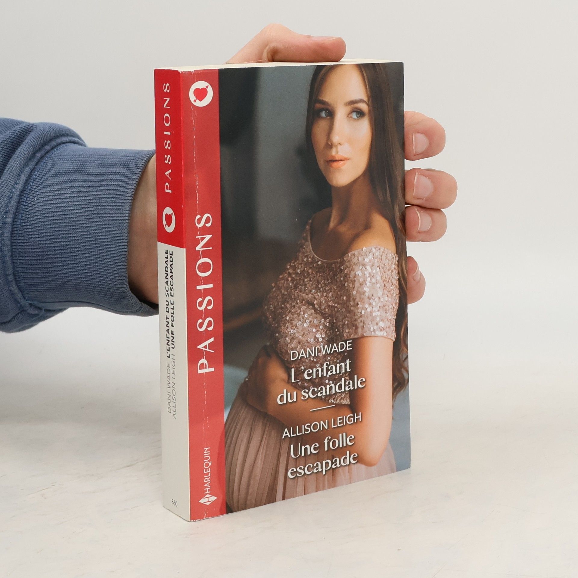 Dani Wade L'enfant du scandale - Une folle escapade