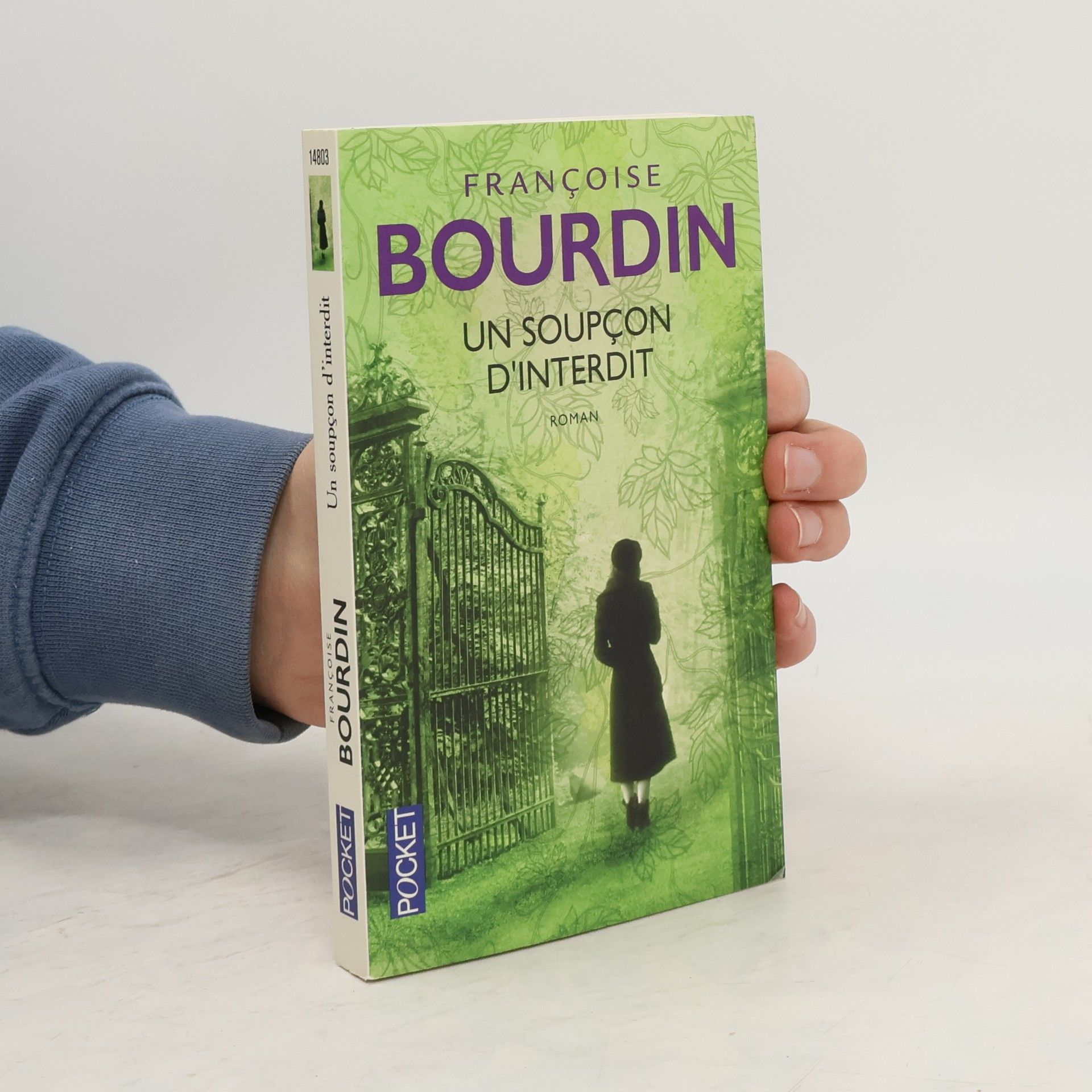 Françoise Bourdin Un soupçon d'interdit