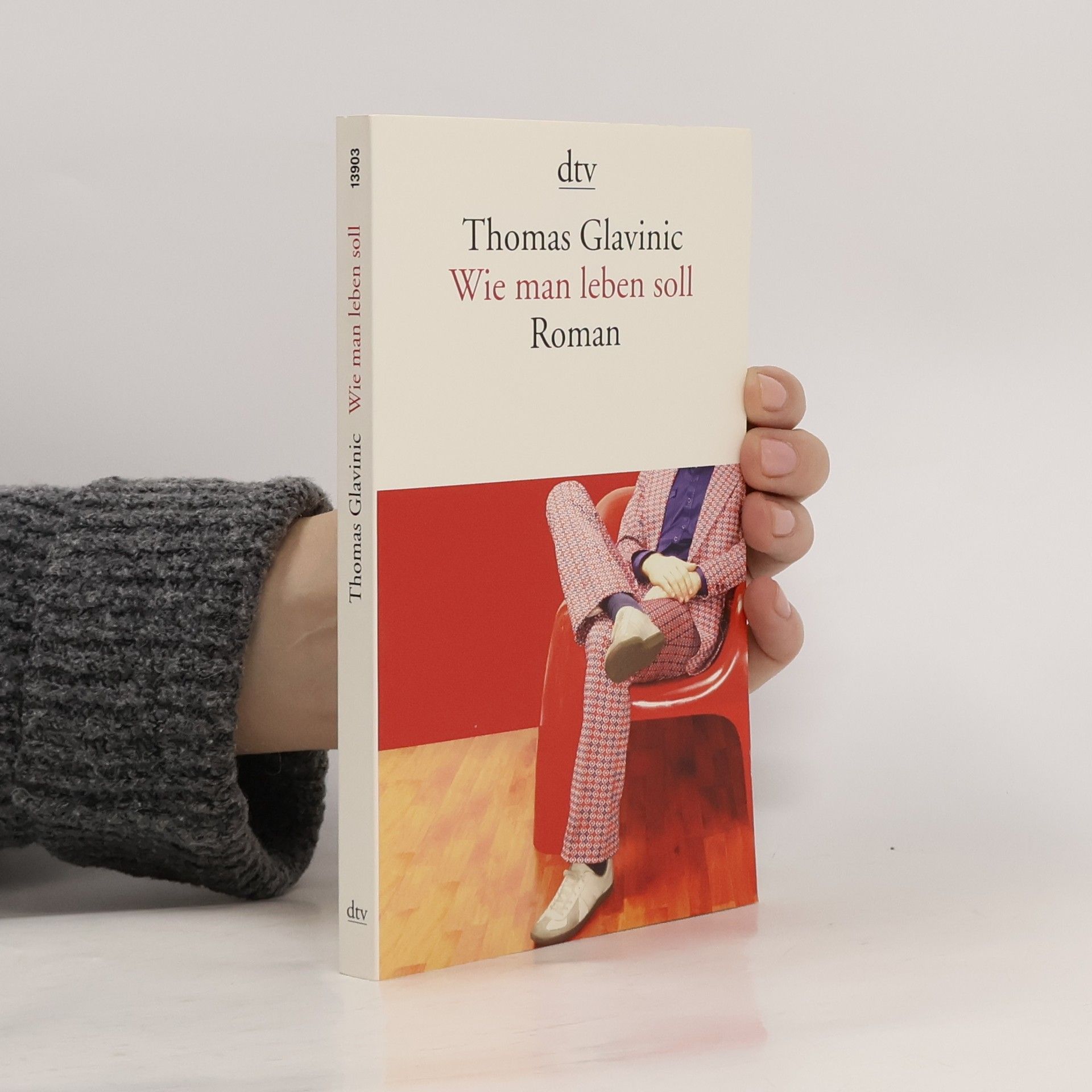 Thomas Glavinic Wie Man leben Soll