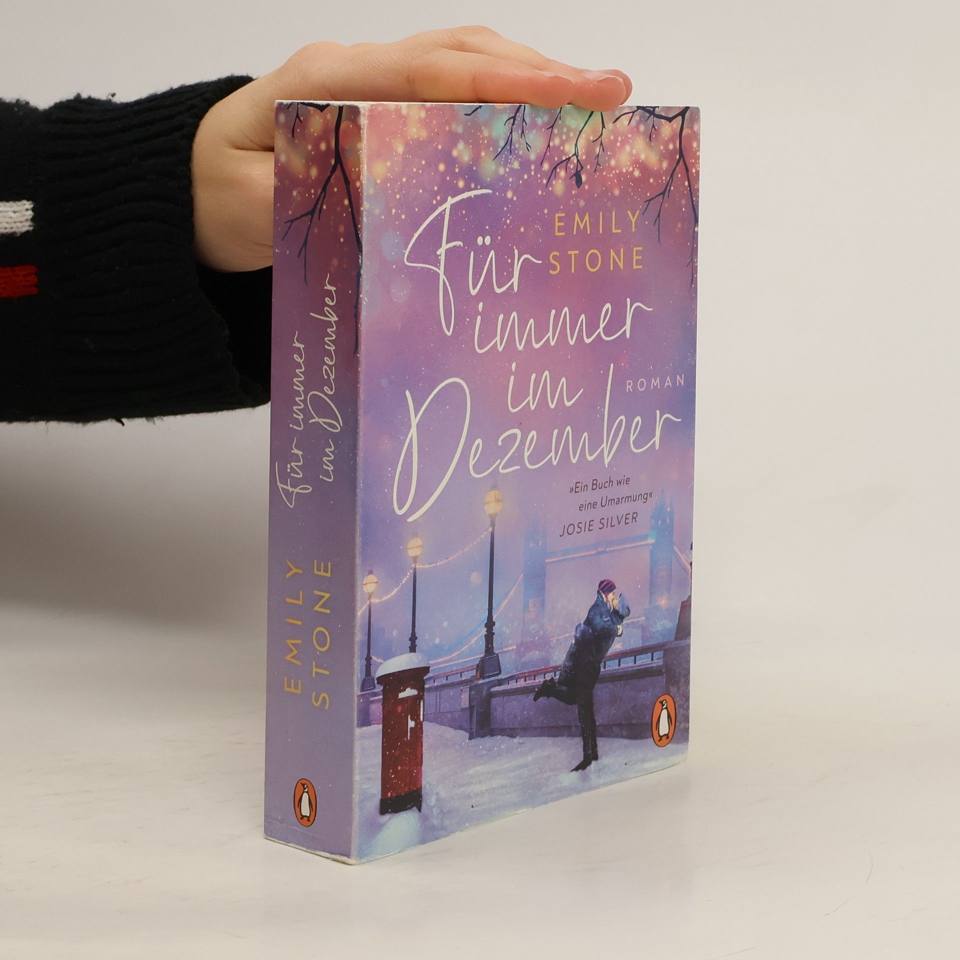 Stone Emily Für immer im Dezember