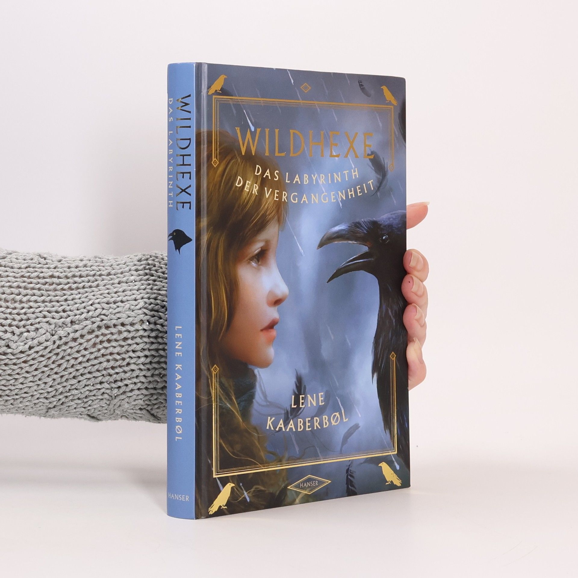 Lene Kaaberbol Wildhexe. Das Labyrinth der Vergangenheit