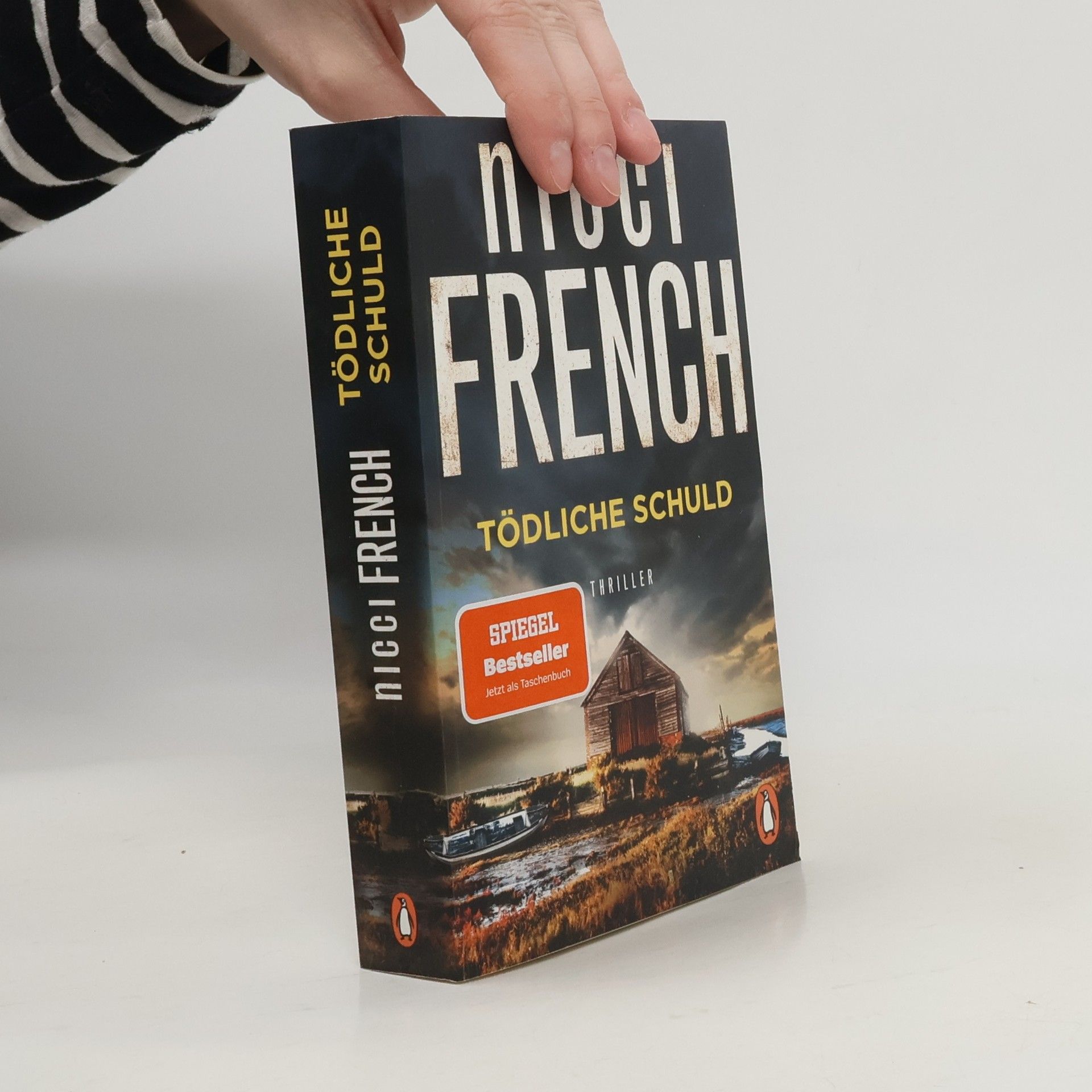 Nicci French Tödliche Schuld