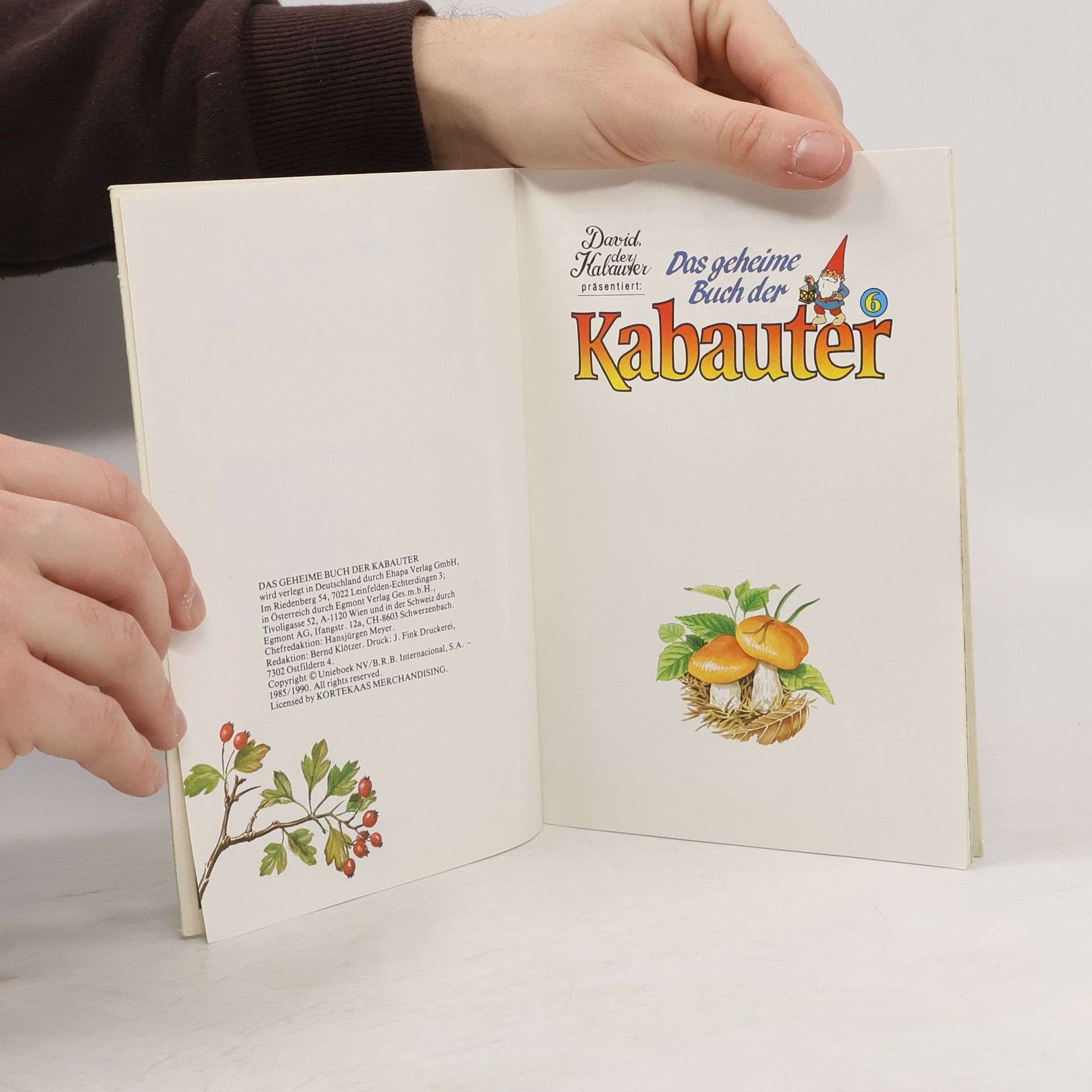 Autorenkollektiv Das Geheime Buch Der Kabauter 6