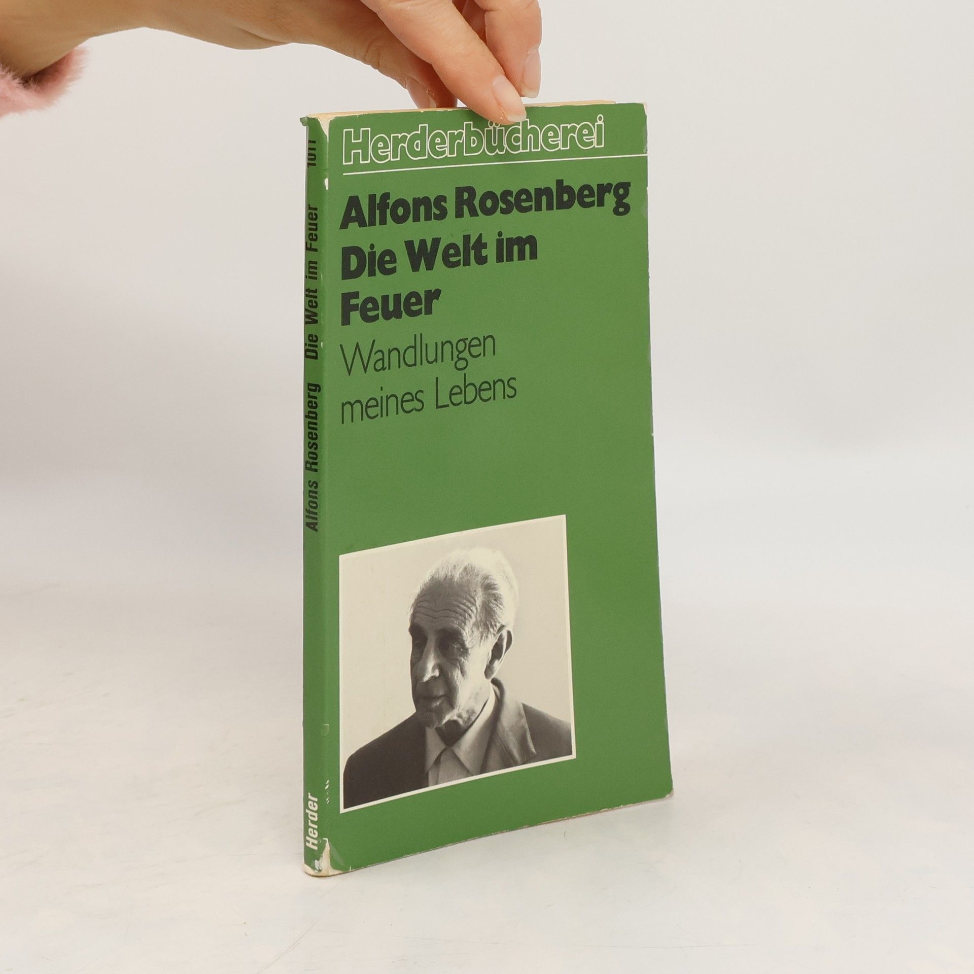 Alfons Rosenberg Die Welt im Feuer