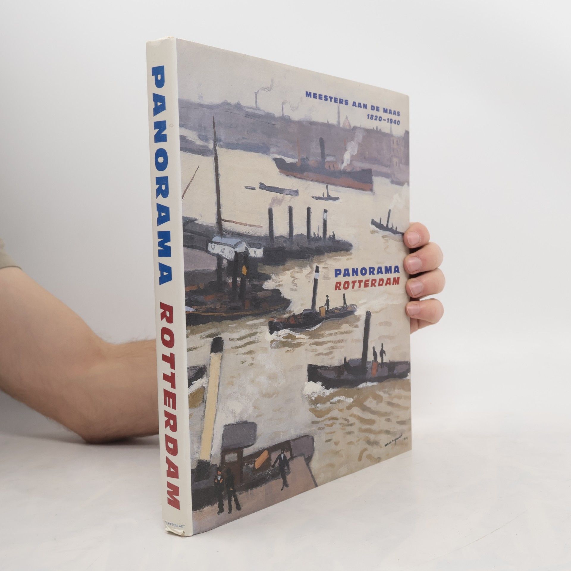 Peter van Beveren Panorama Rotterdam