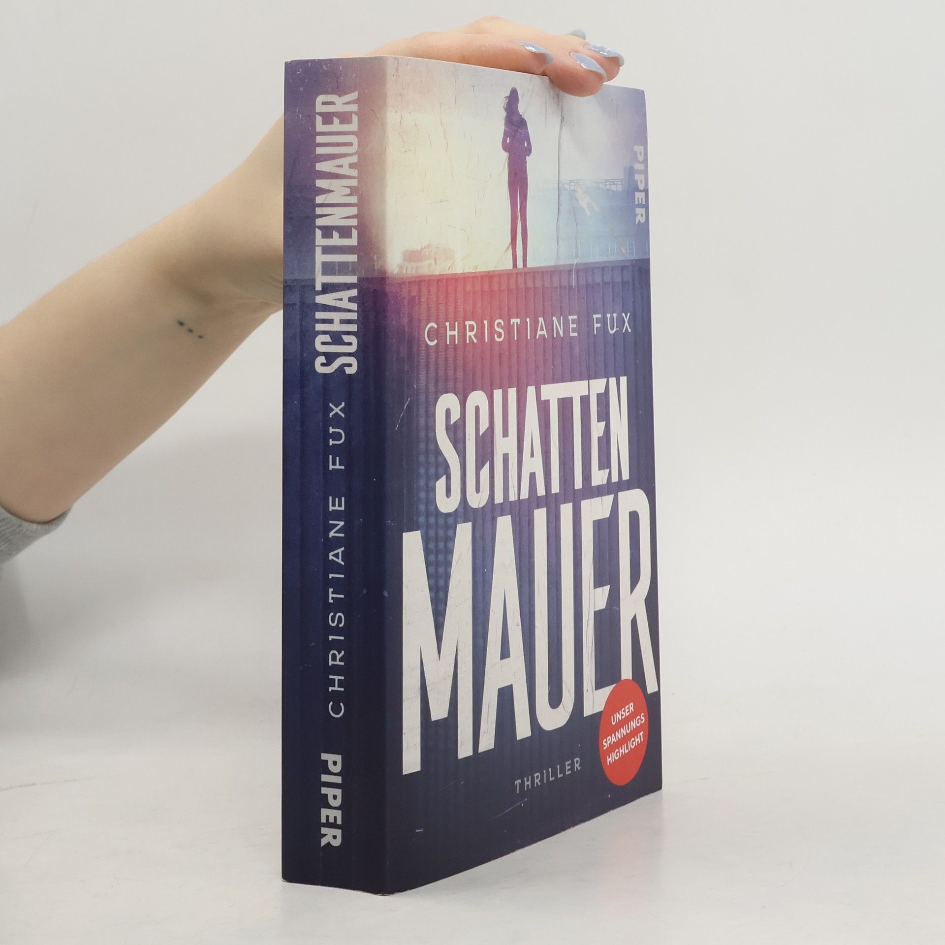 Christiane Fux Schattenmauer