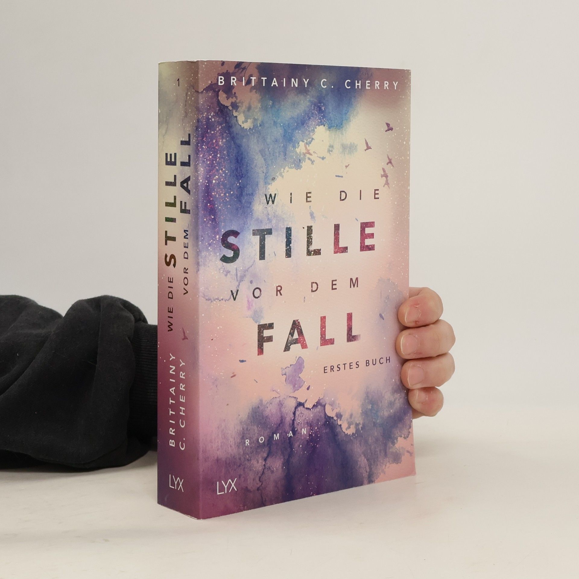 Brittainy C. Cherry Wie die Stille vor dem Fall