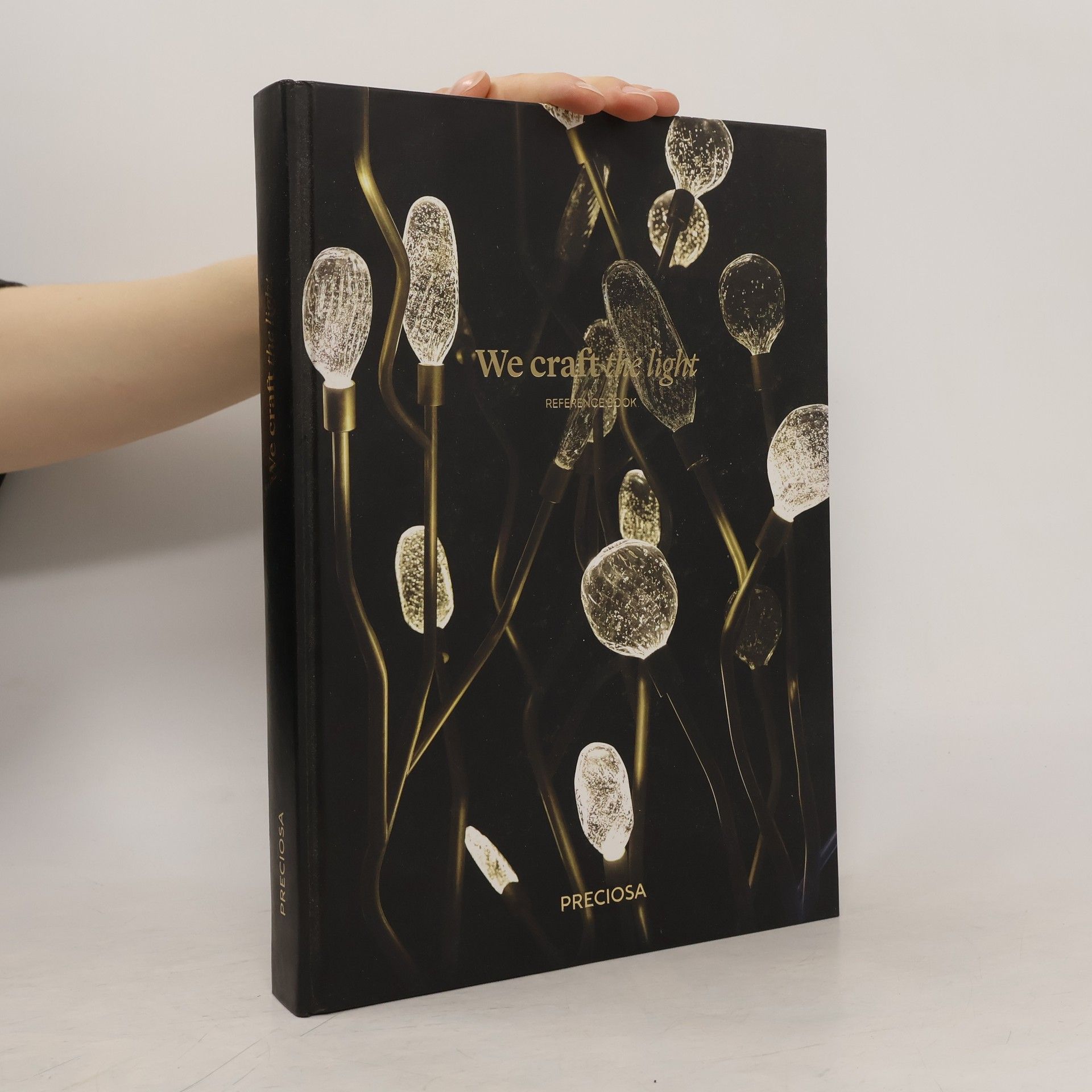 Collectif d'auteurs We Craft The Light