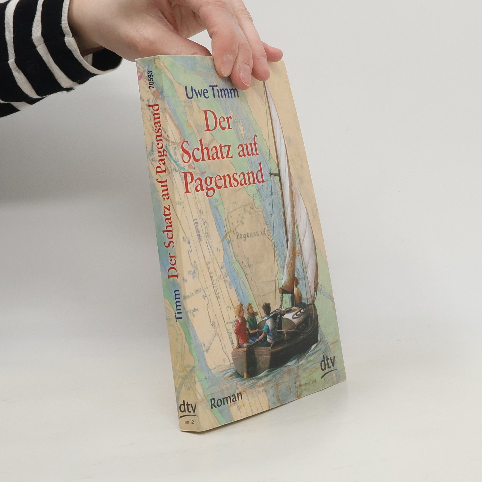 Uve Timm Der Schatz auf Pagensand