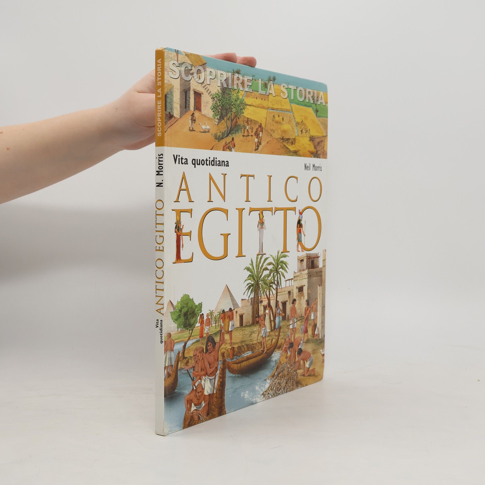 Neil Morris Vita quotidiana. Antico Egitto. Scoprire la storia