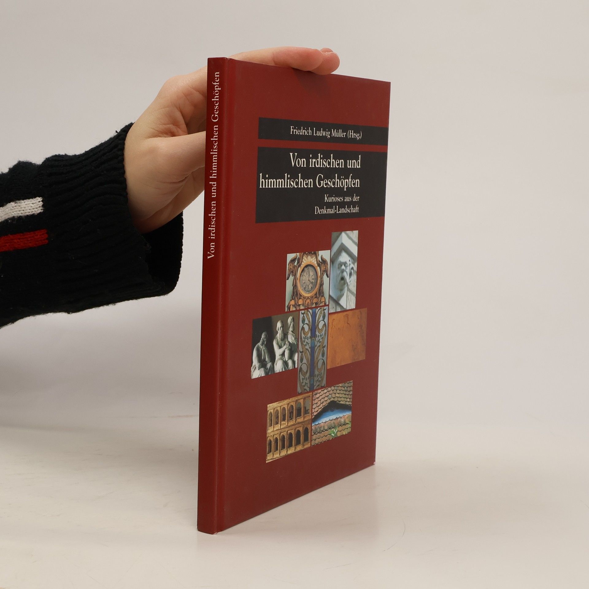 Kolektív autorov Kurioses aus der Denkmallandschaft