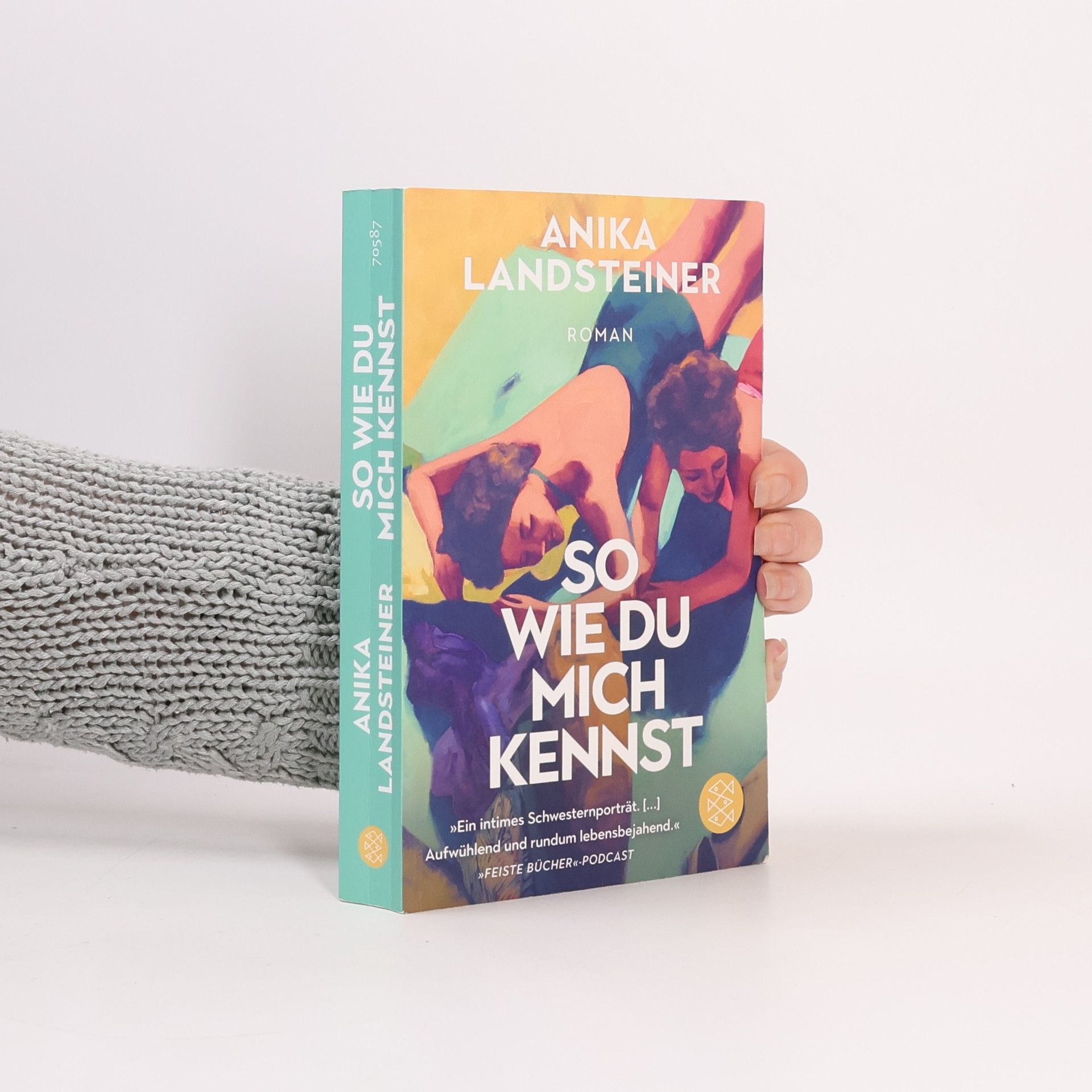 Anika Landsteiner So wie du mich kennst