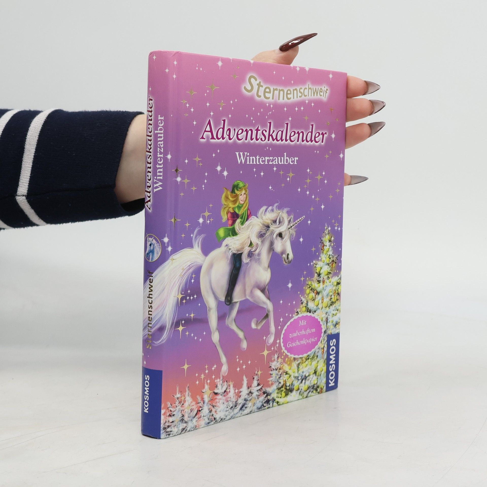 Anne Scheller Sternenschweif-Adventskalender Winterzauber