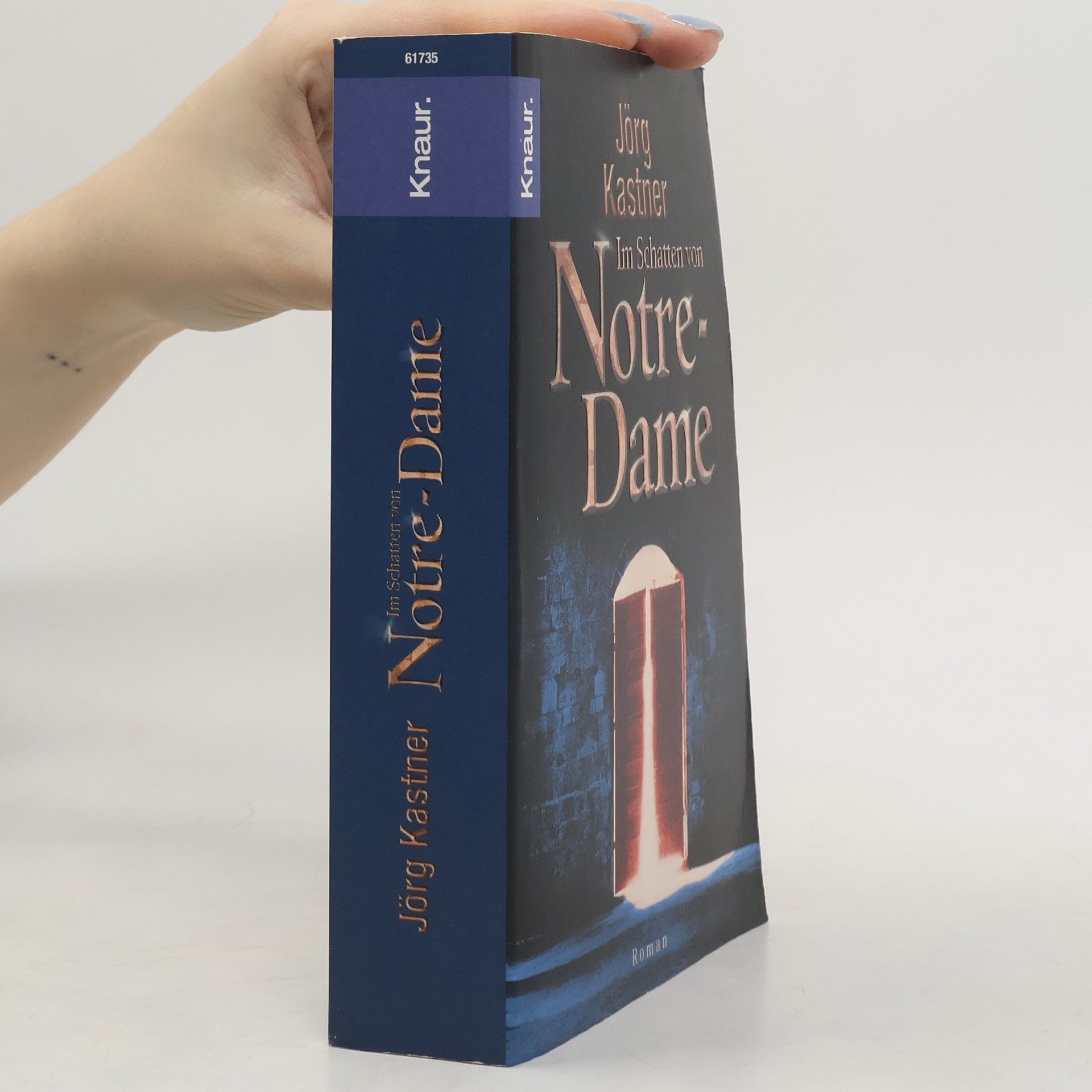 Joerg Kastner Im Schatten von Notre Dame