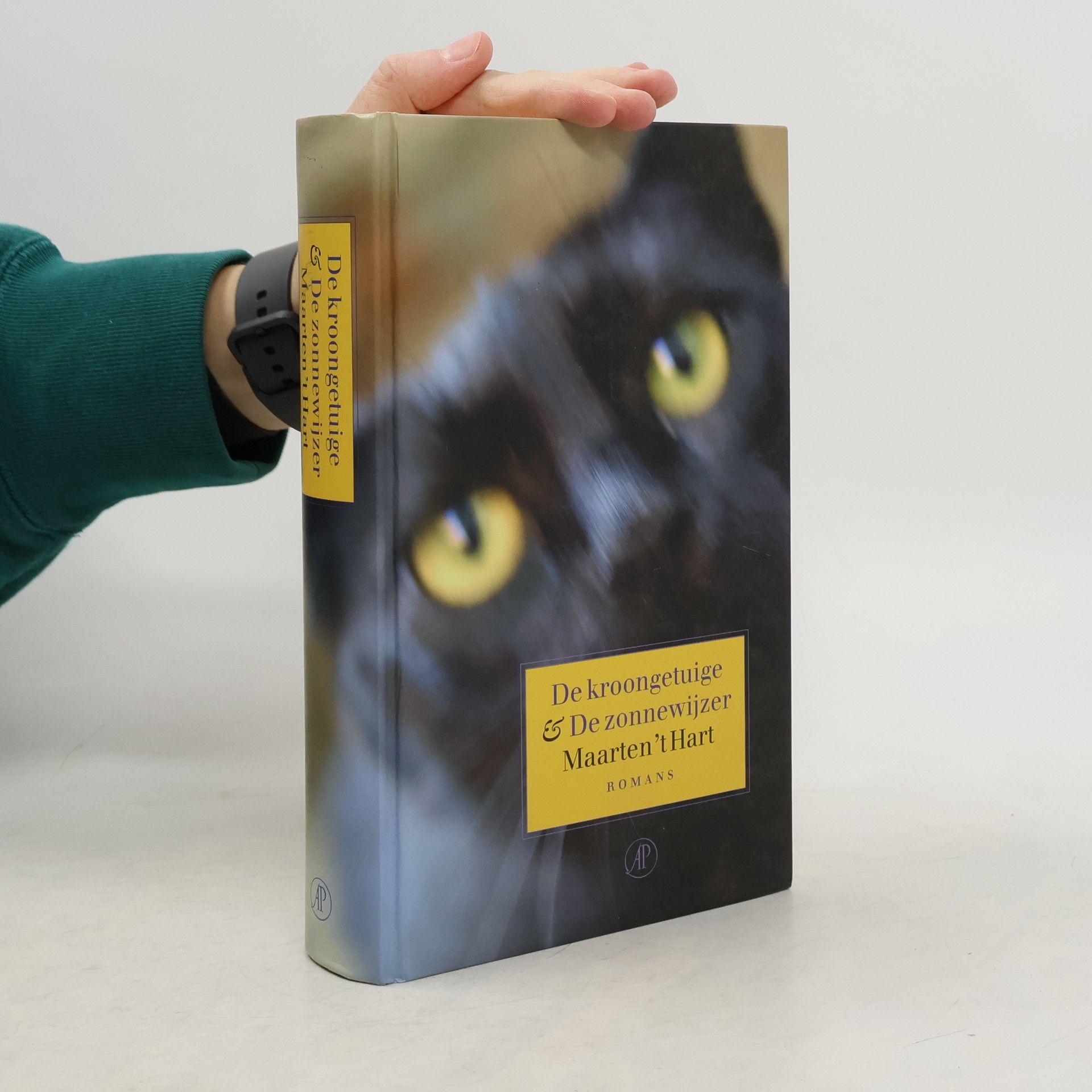 Maarten t. Hart De kroongetuige & De zonnewijzer