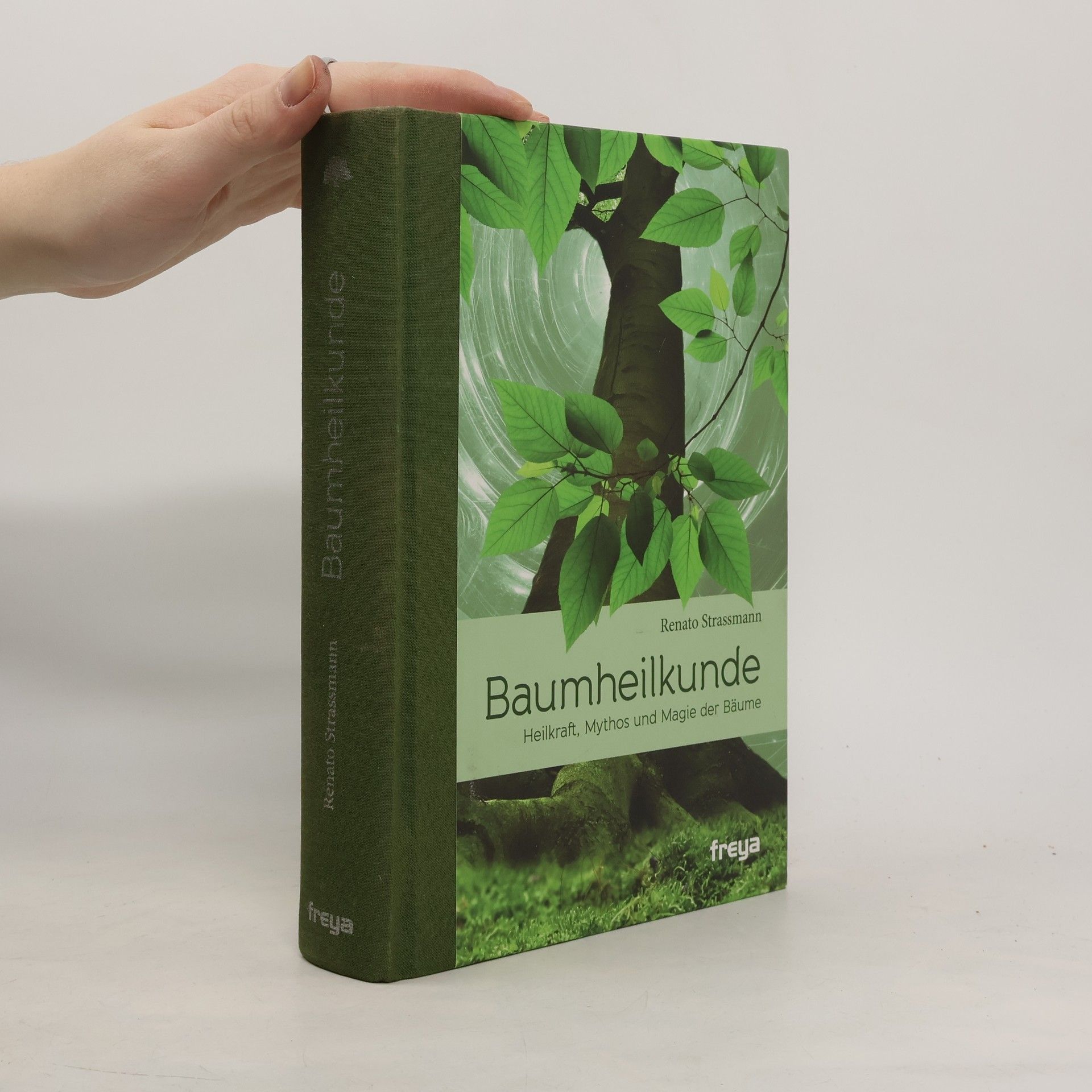 Rene Anton Strassmann Baumheilkunde