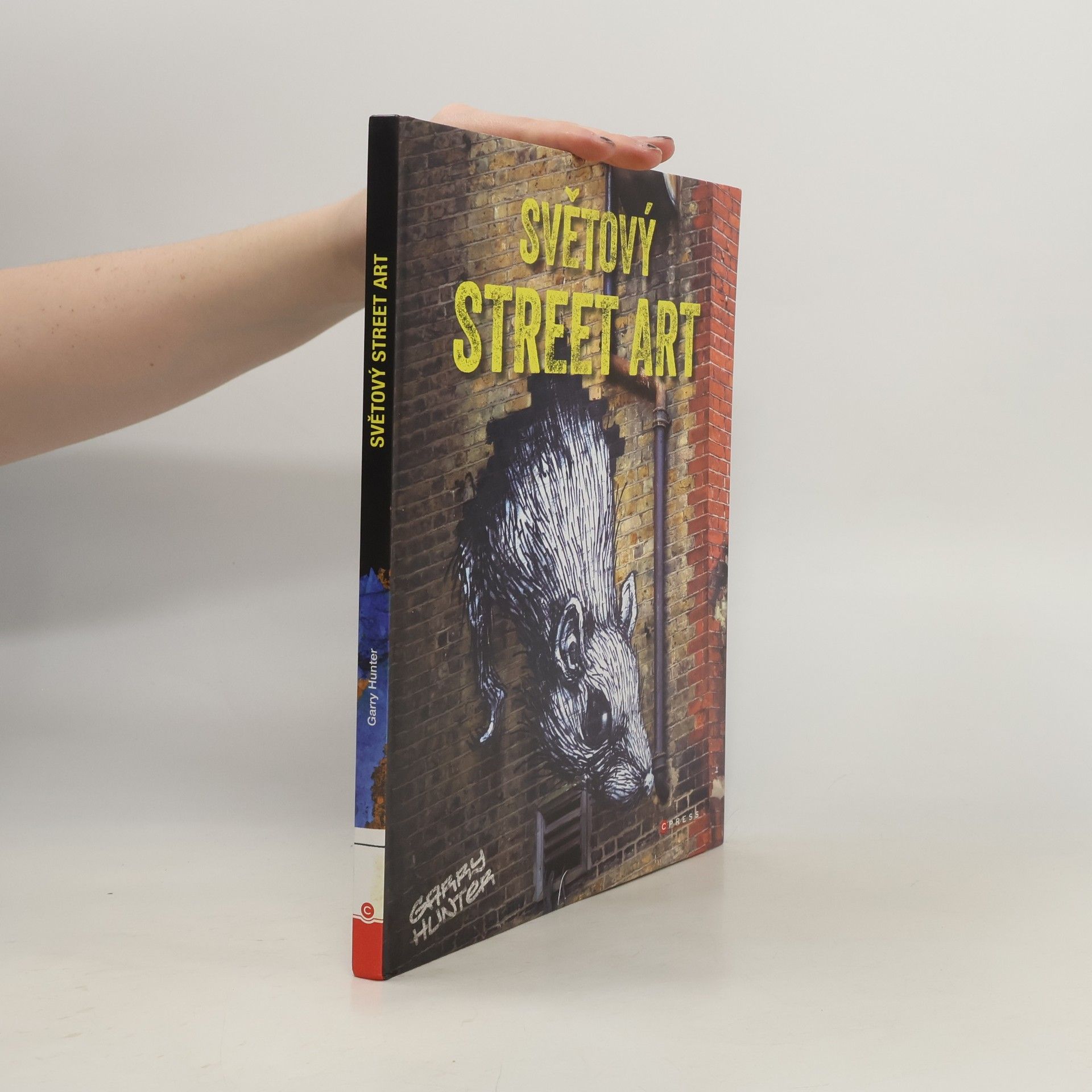 Světový street art