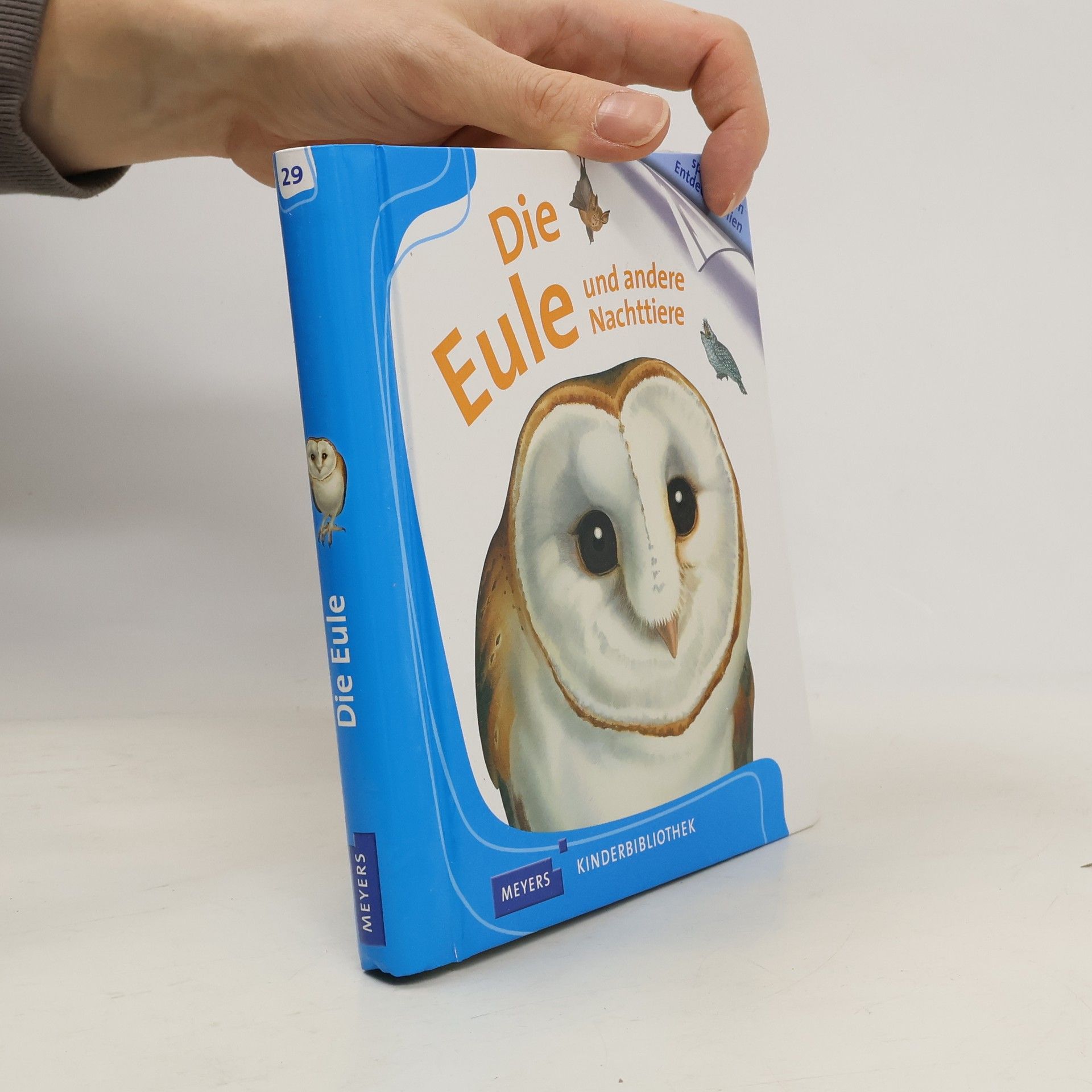 Sylvaine Pérols Die Eule und andere Nachttiere