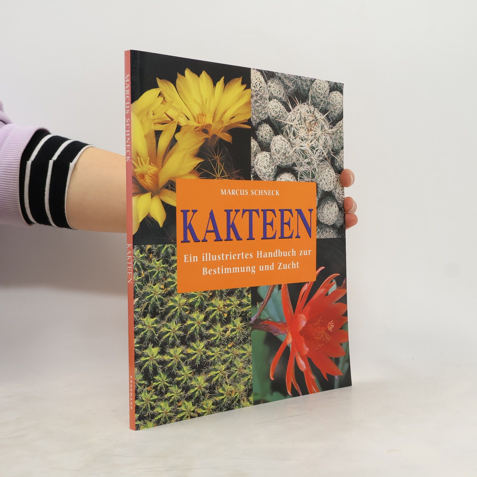 Marcus Schneck Kakteen