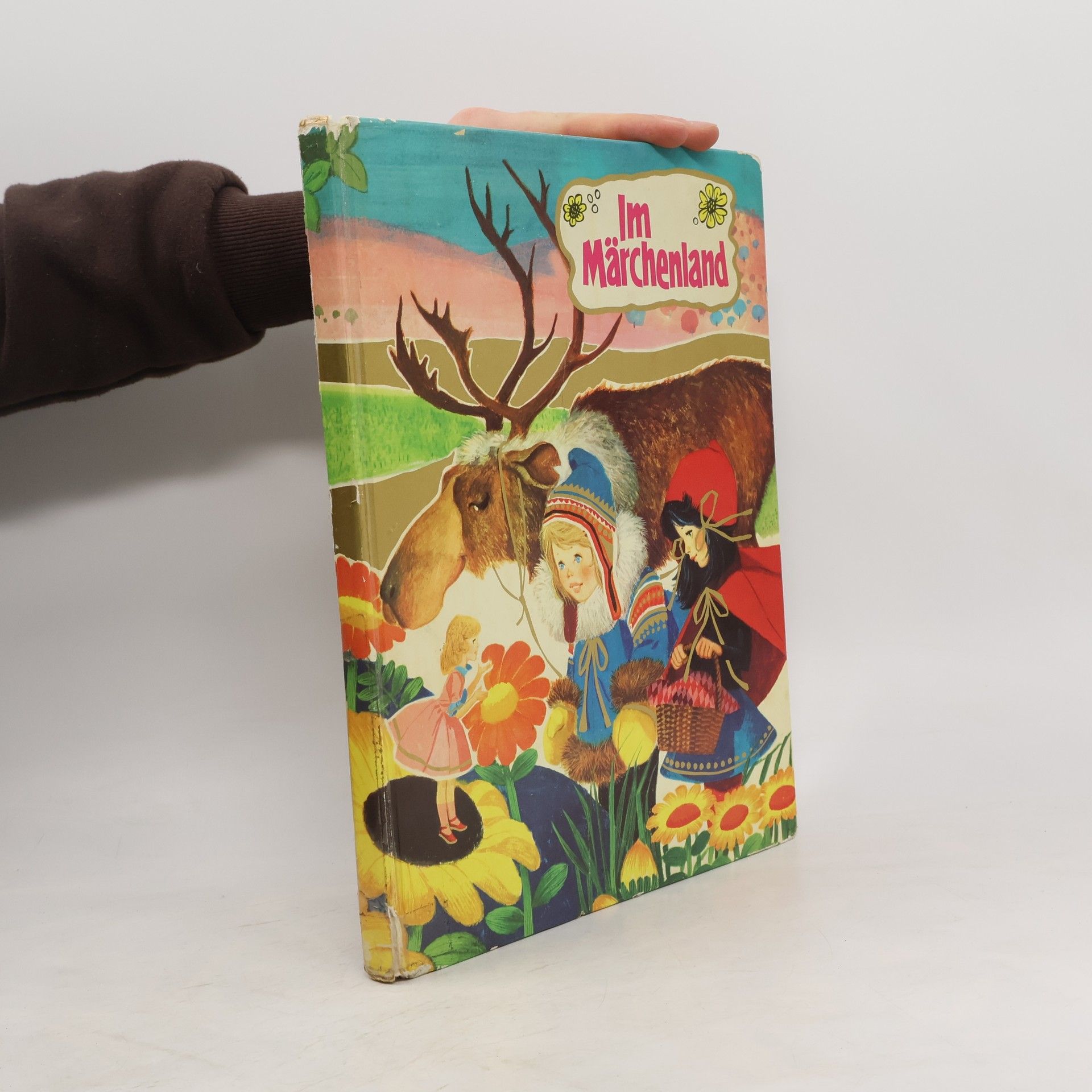 Autorenkollektiv Im Märchenland