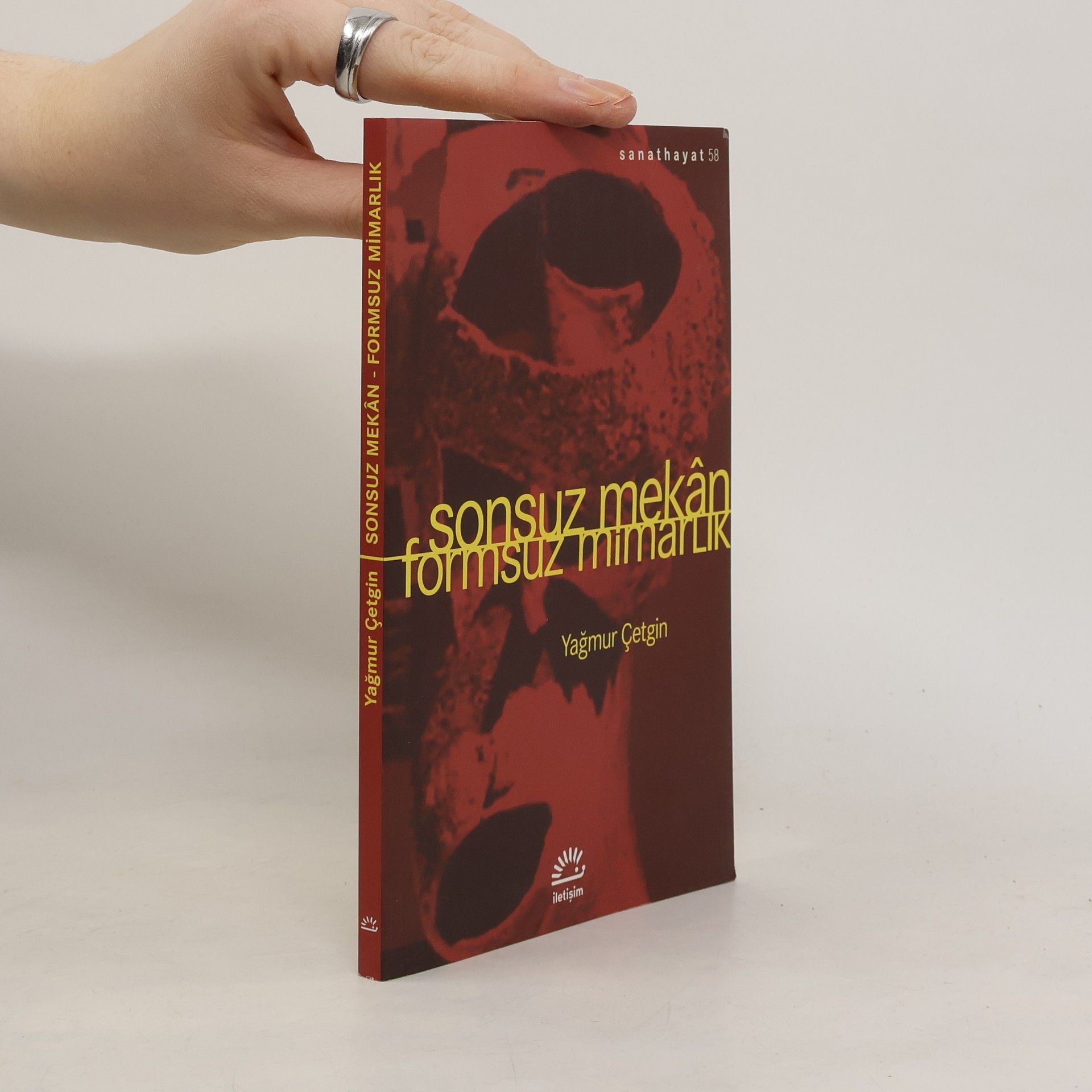 Yağmur Çetgin Sonsuz Mekan - Formsuz Mimarlık