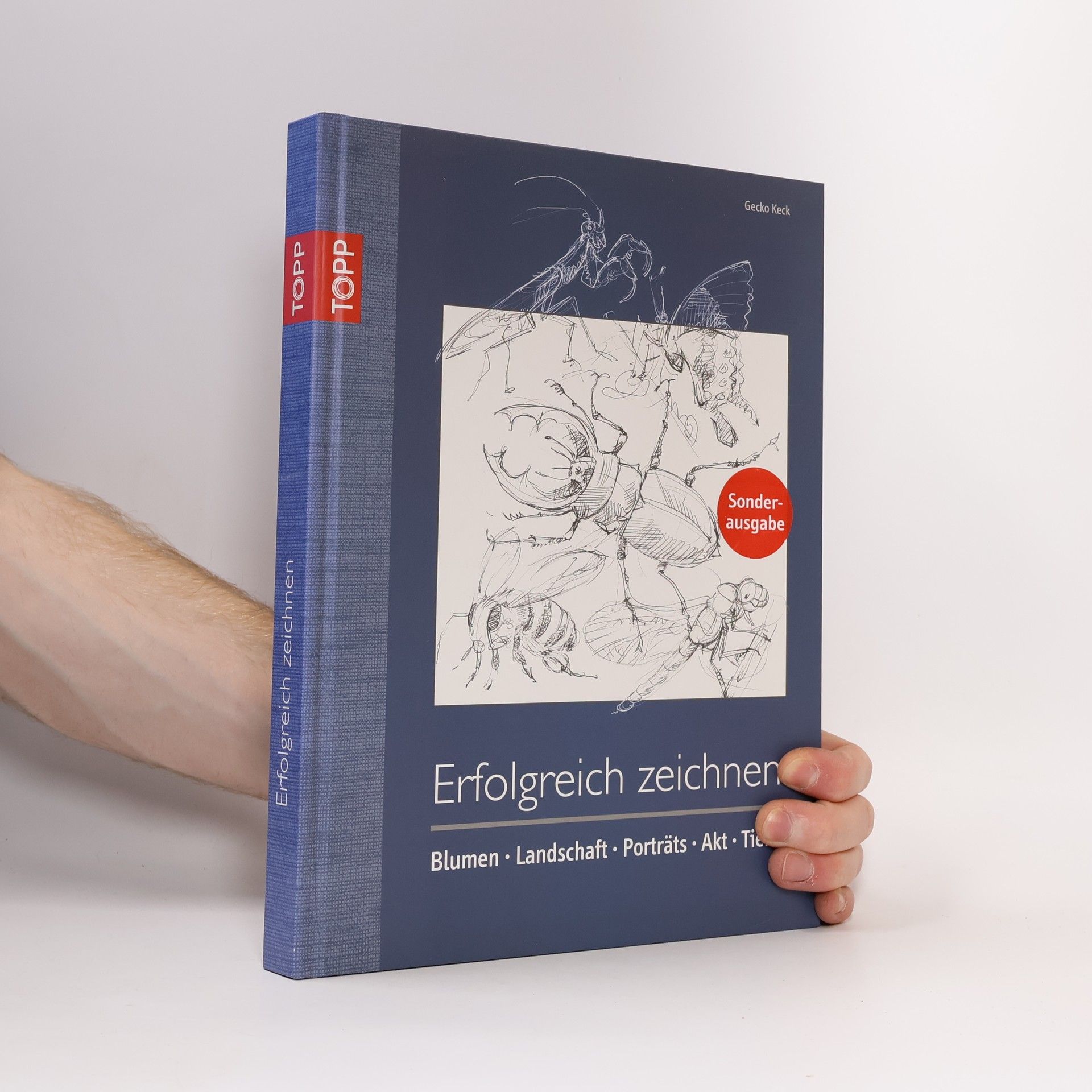 Gecko Keck Erfolgreich zeichnen