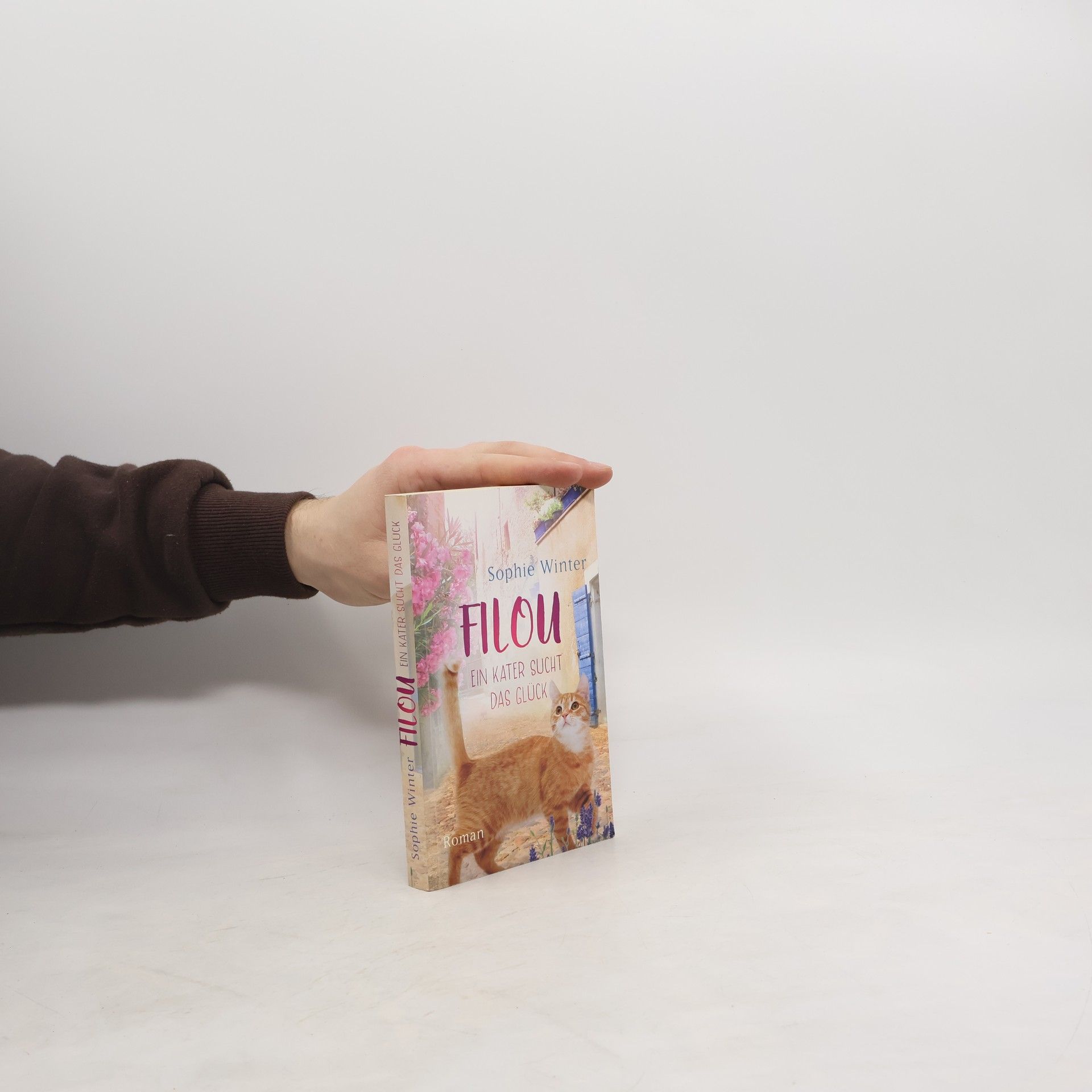 Sophie Winter Filou. Ein Kater sucht das Glück