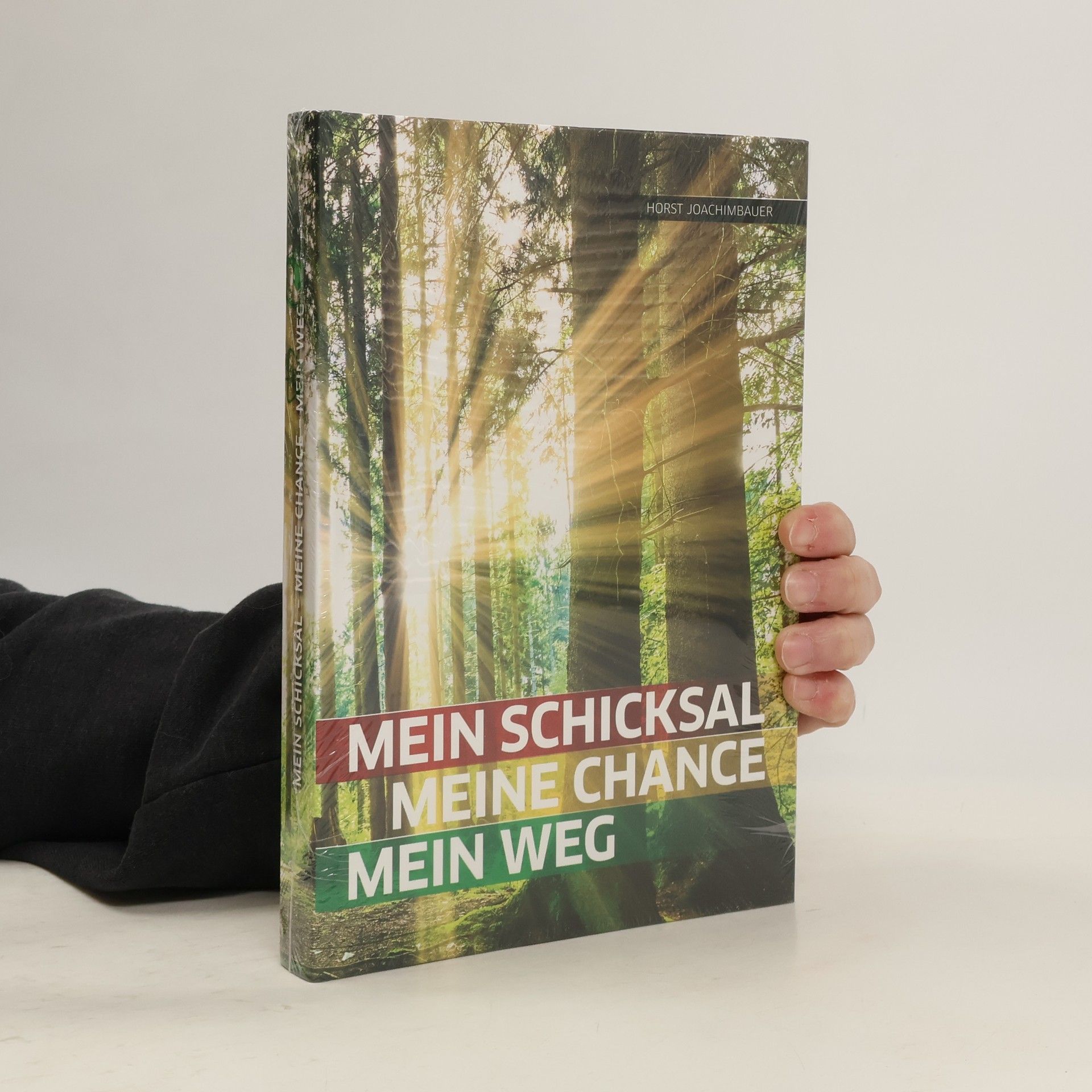 Die Weisheiten eines Surflehrers